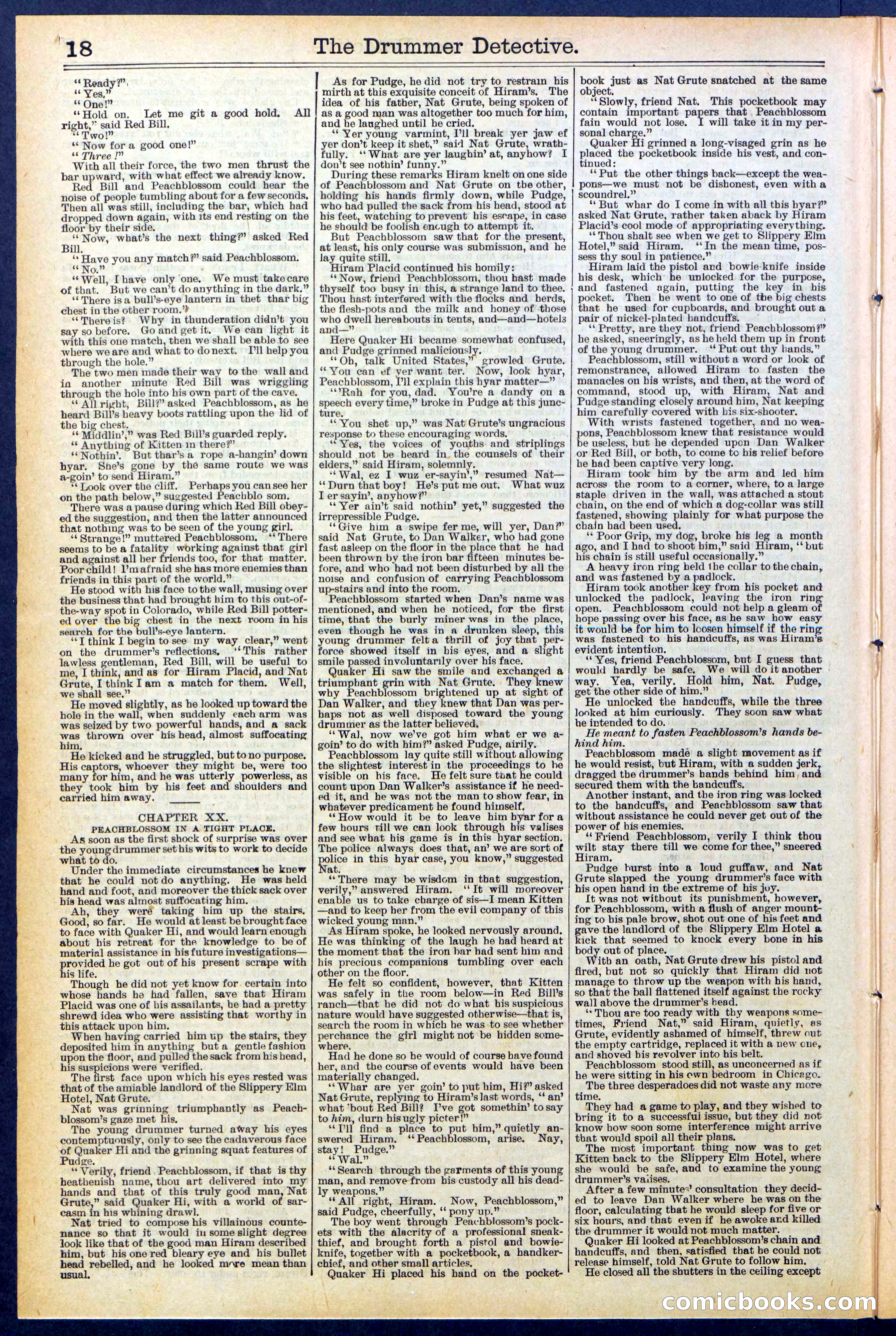 Beadle's Dime Library No. 507 — page 18 of 32