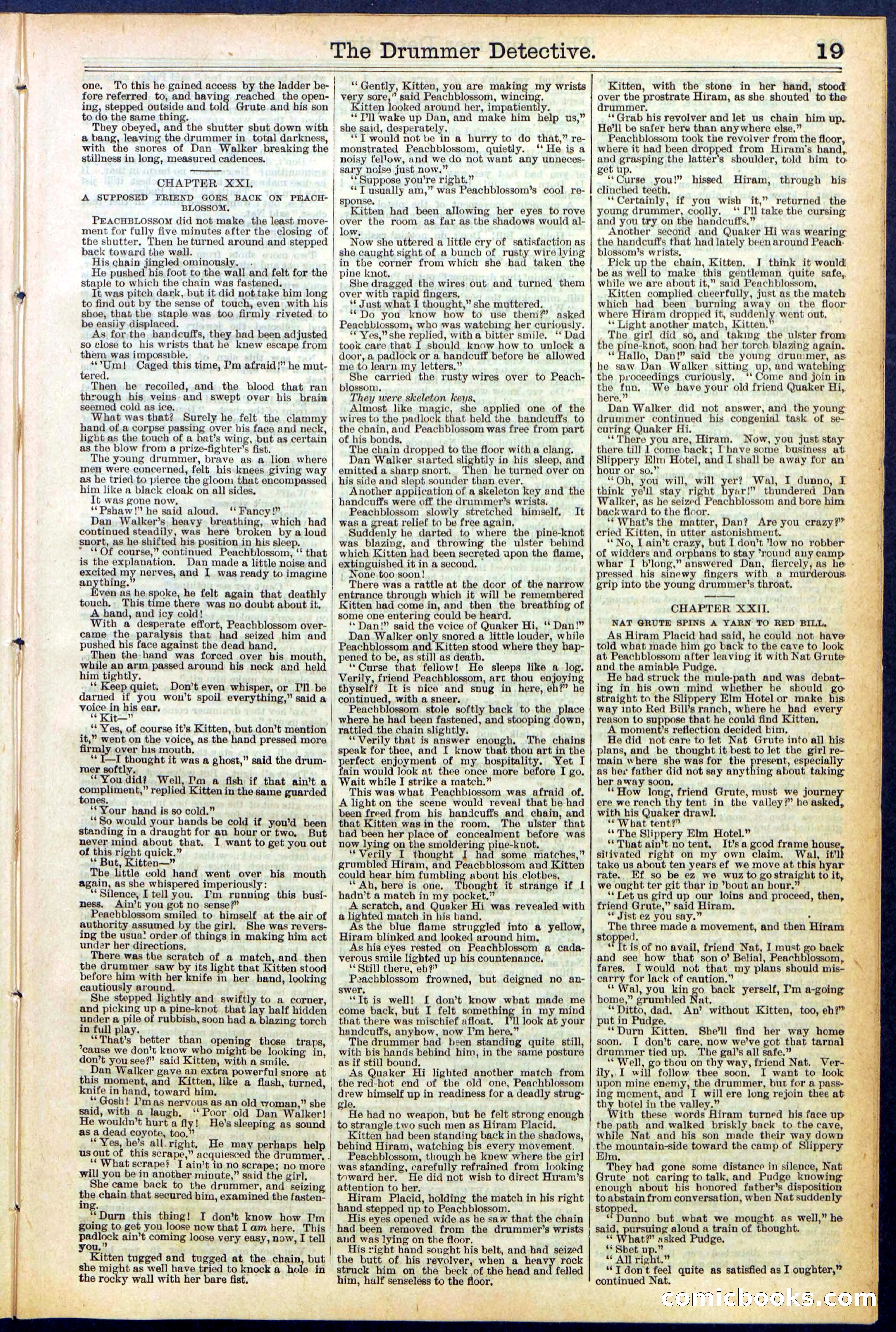 Beadle's Dime Library No. 507 — page 19 of 32