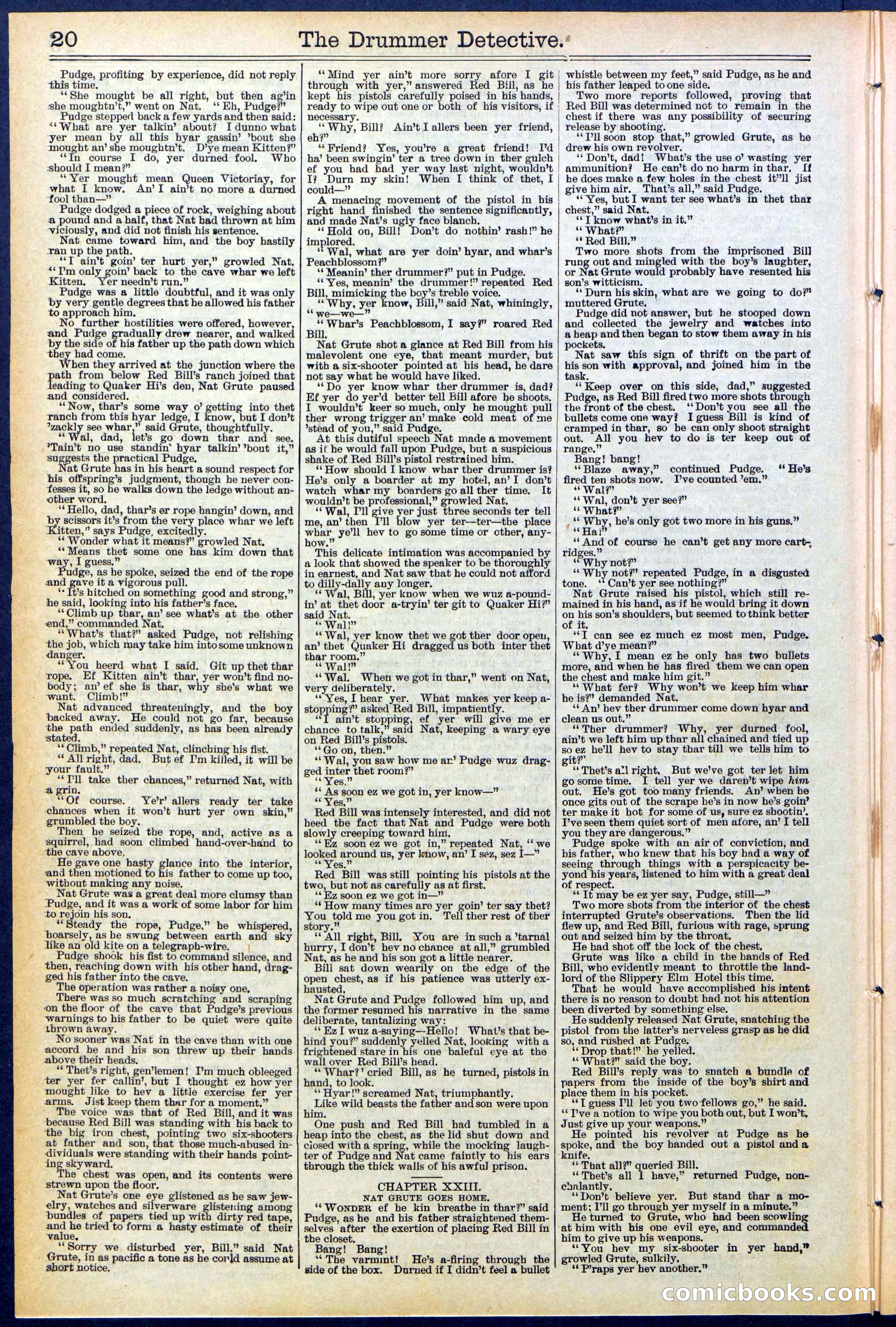Beadle's Dime Library No. 507 — page 20 of 32