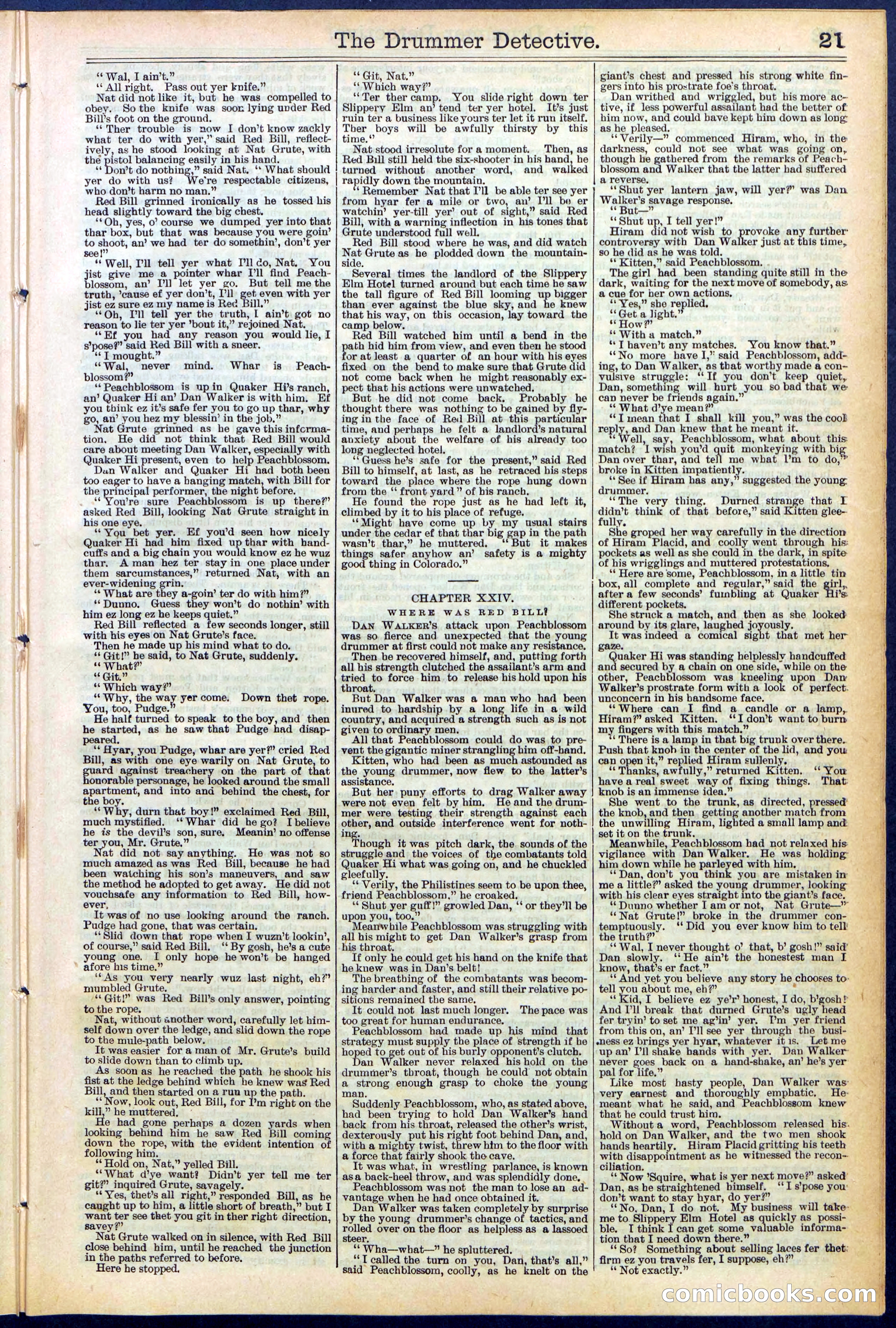 Beadle's Dime Library No. 507 — page 21 of 32