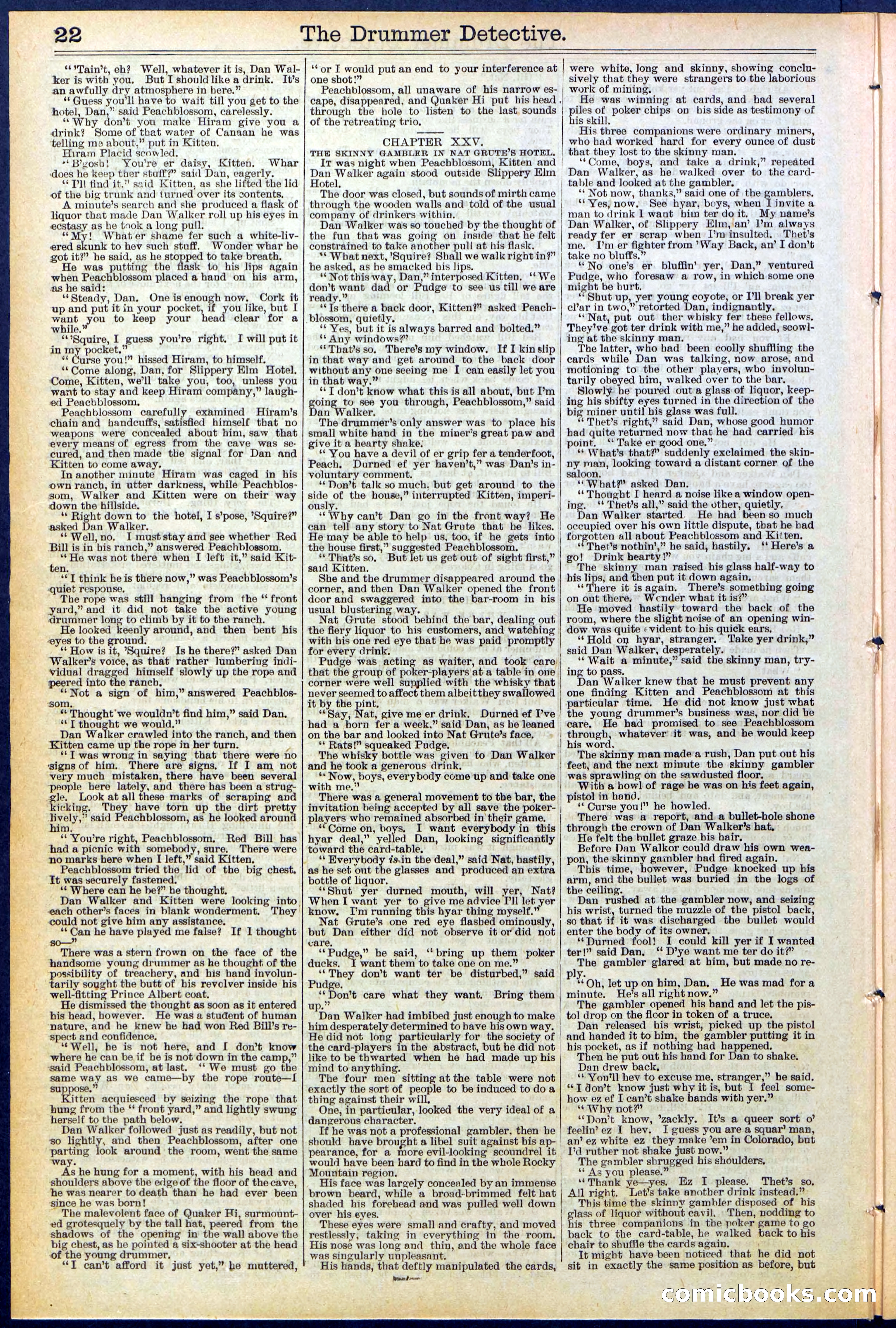 Beadle's Dime Library No. 507 — page 22 of 32