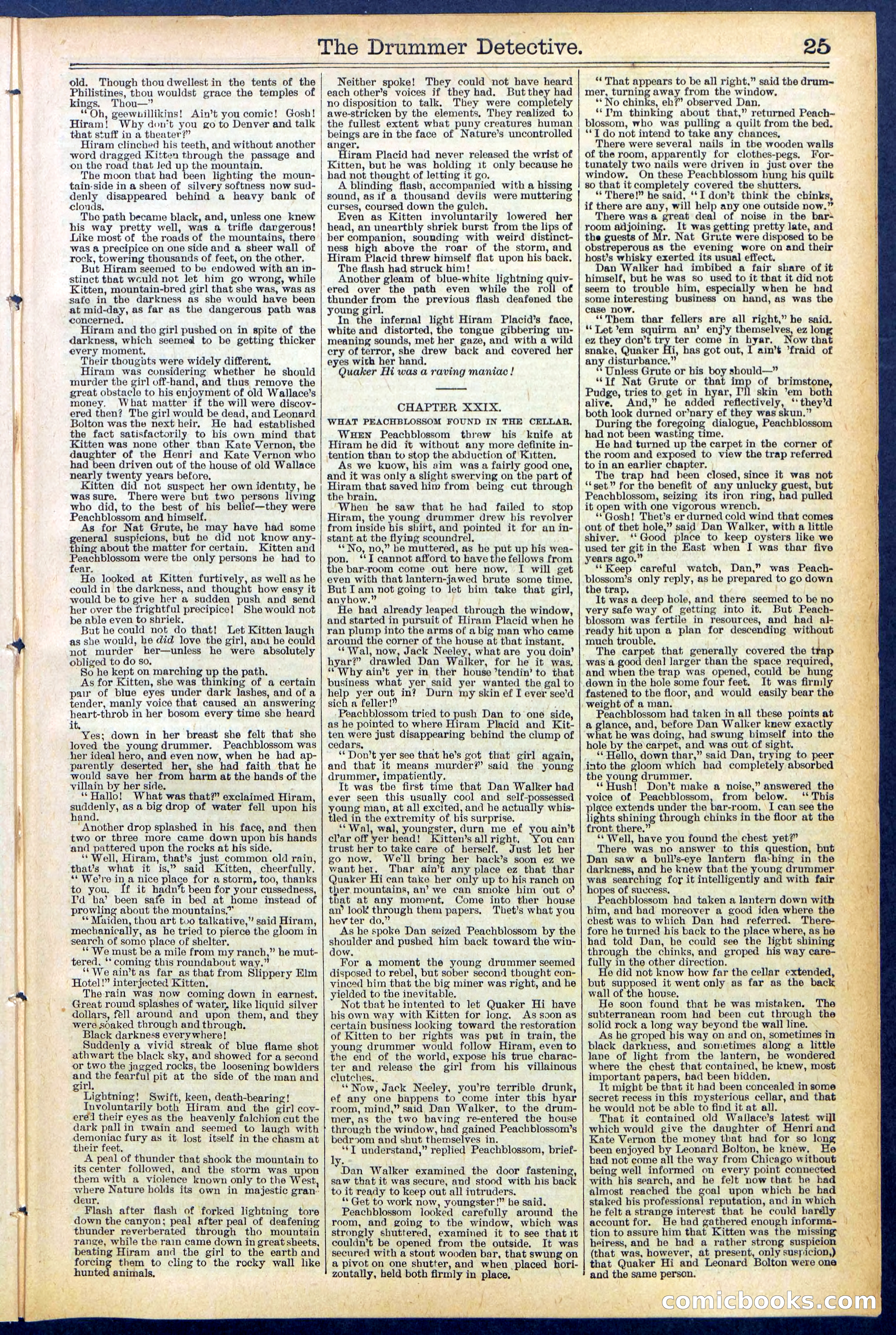 Beadle's Dime Library No. 507 — page 25 of 32