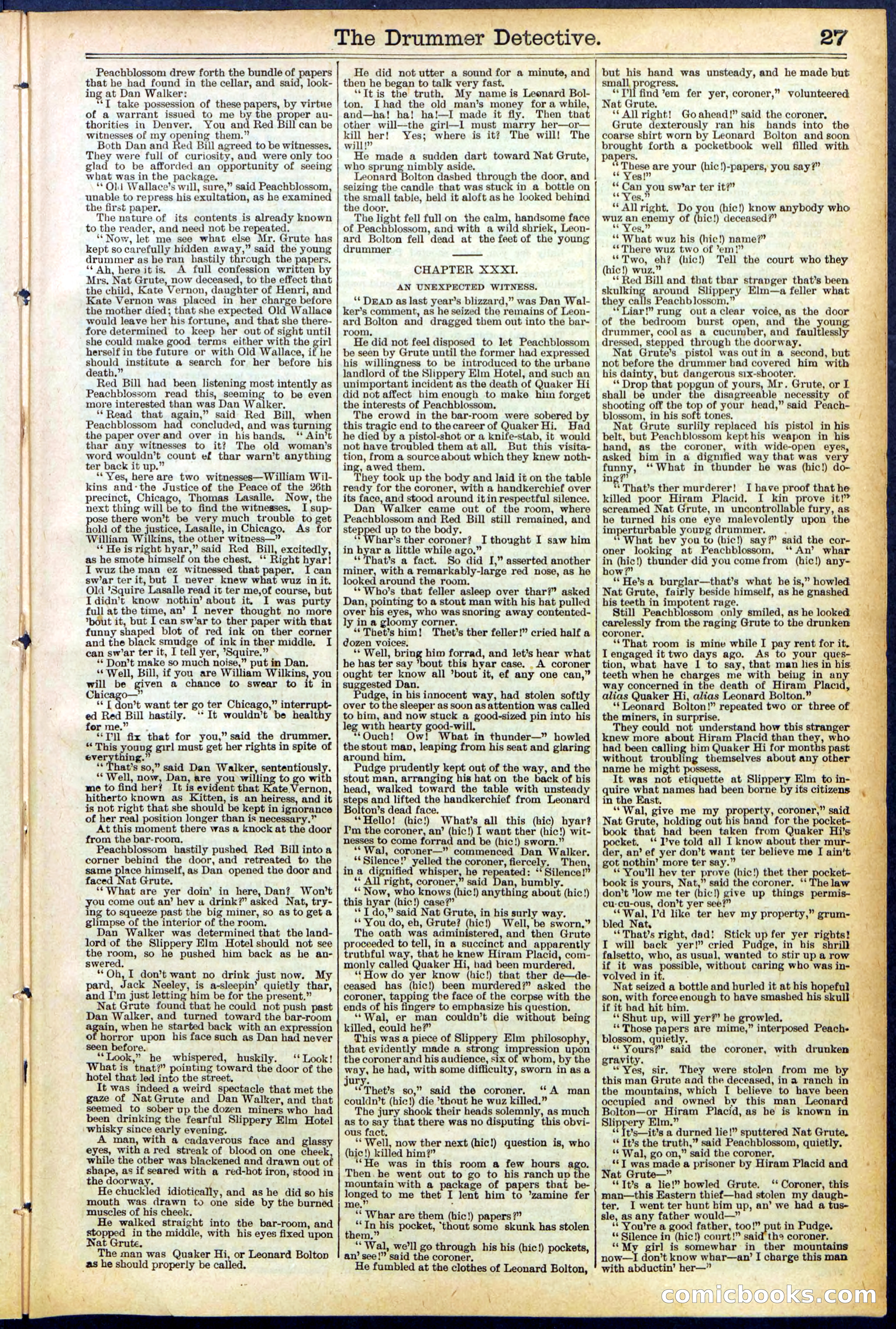 Beadle's Dime Library No. 507 — page 27 of 32
