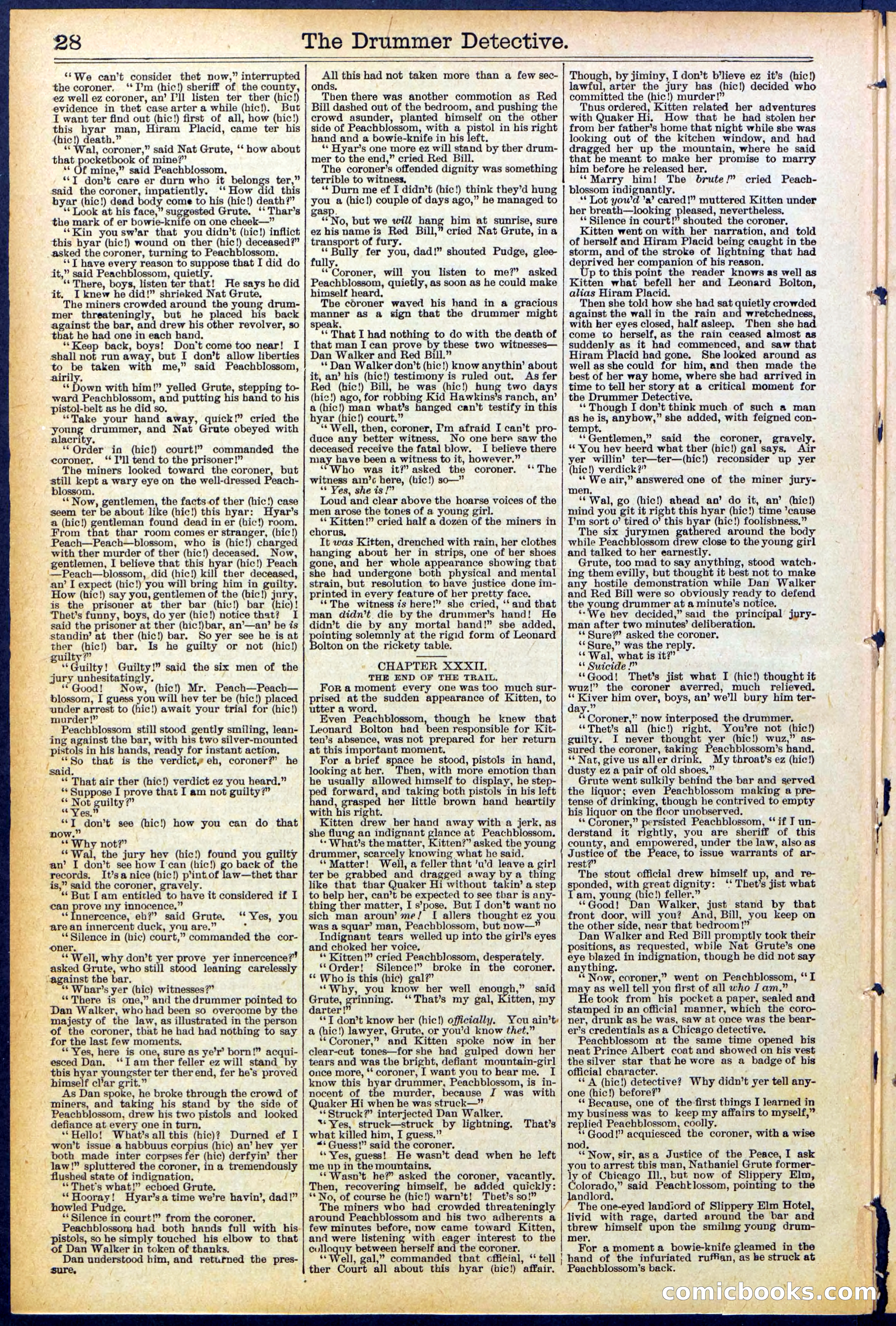 Beadle's Dime Library No. 507 — page 28 of 32