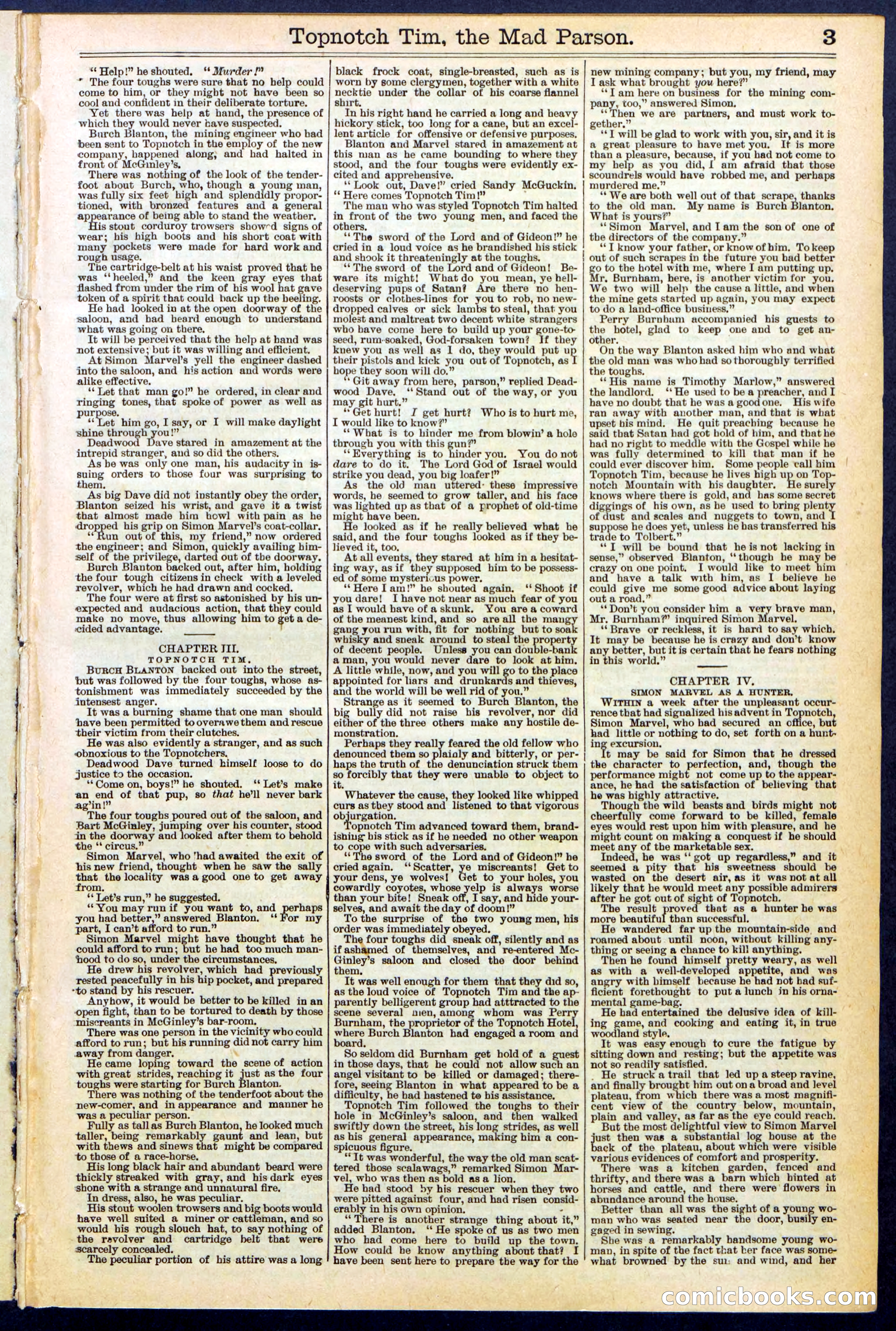 Beadle's New York Dime Library, No. 508 — page 3 of 32