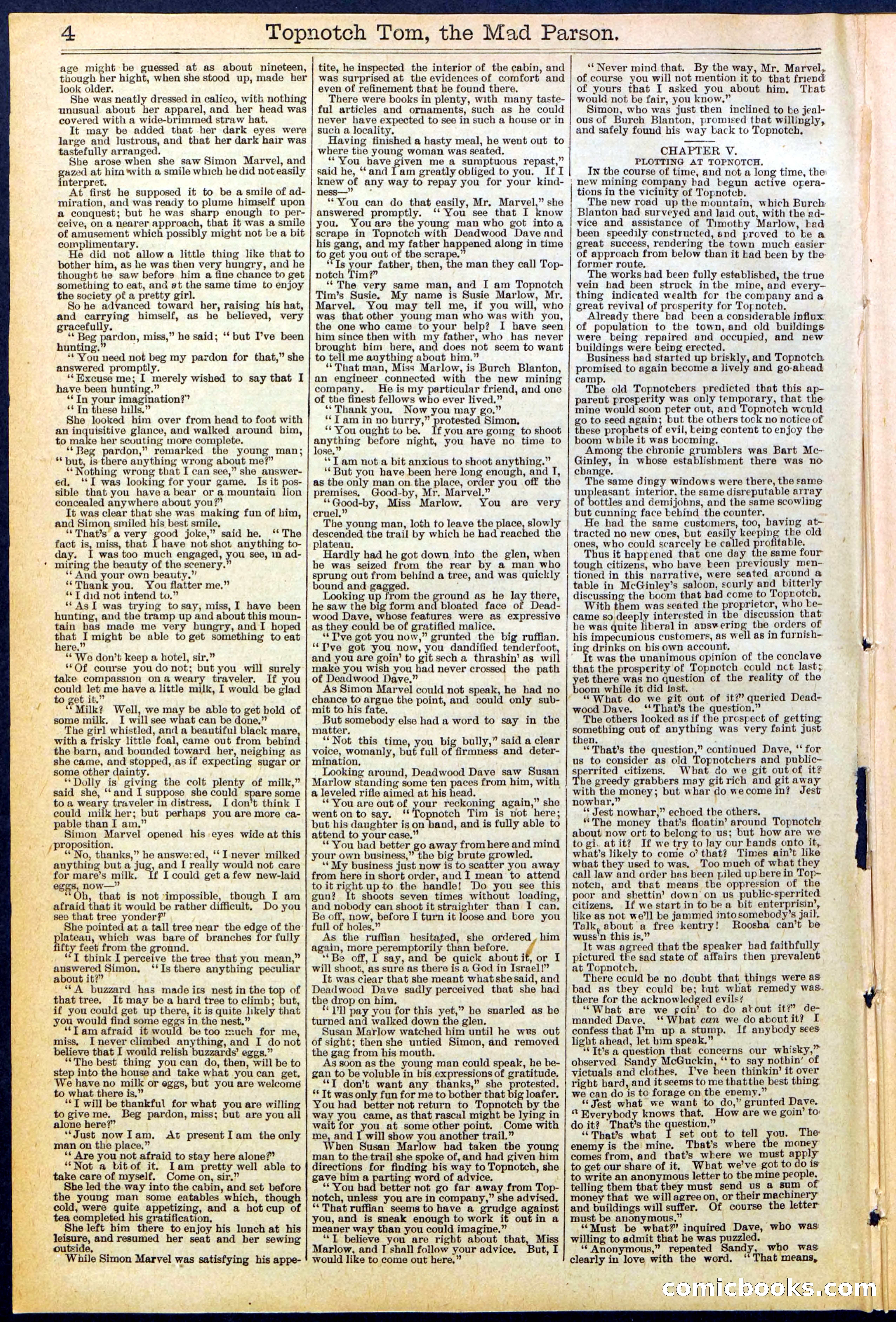Beadle's New York Dime Library, No. 508 — page 4 of 32