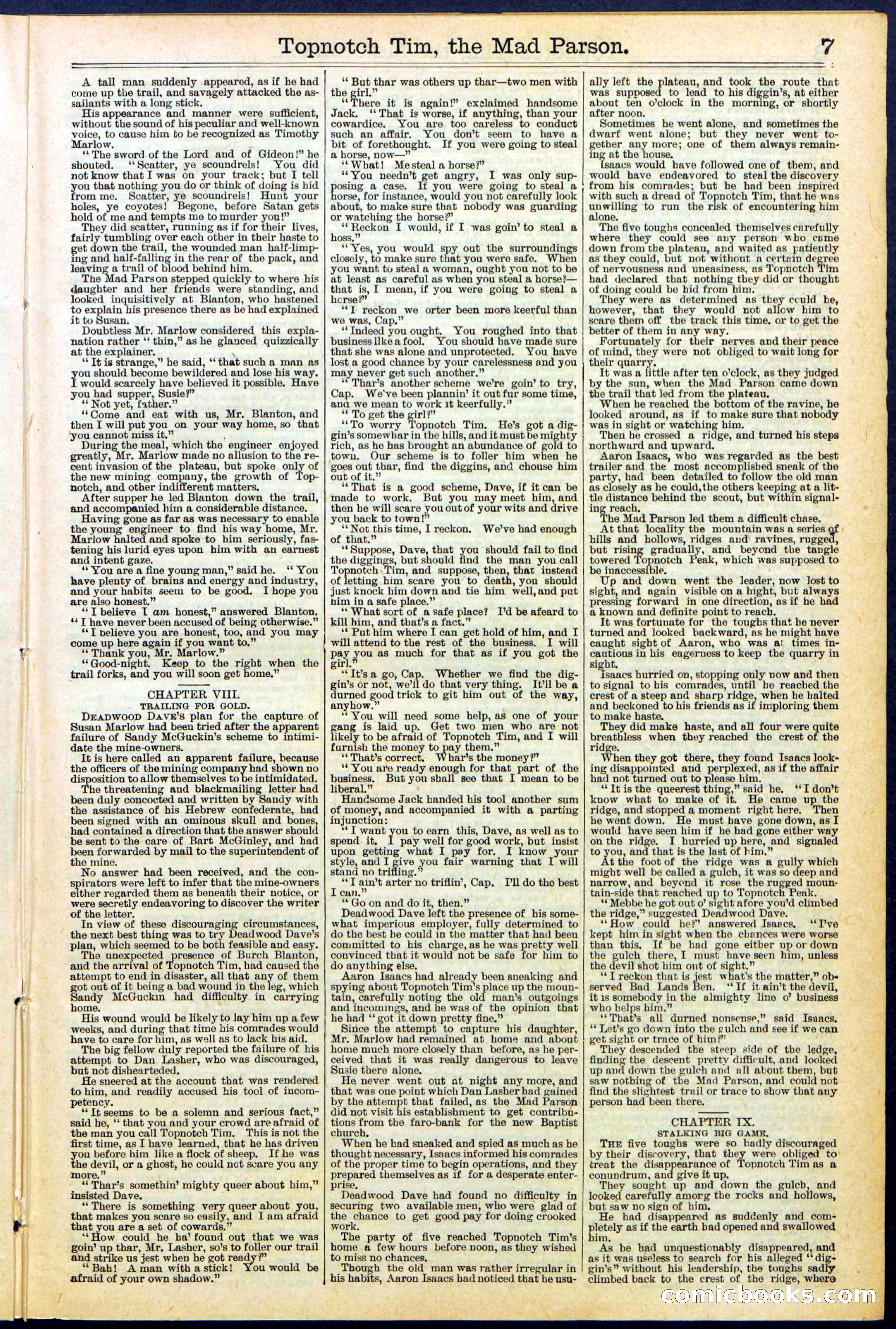 Beadle's New York Dime Library, No. 508 — page 7 of 32