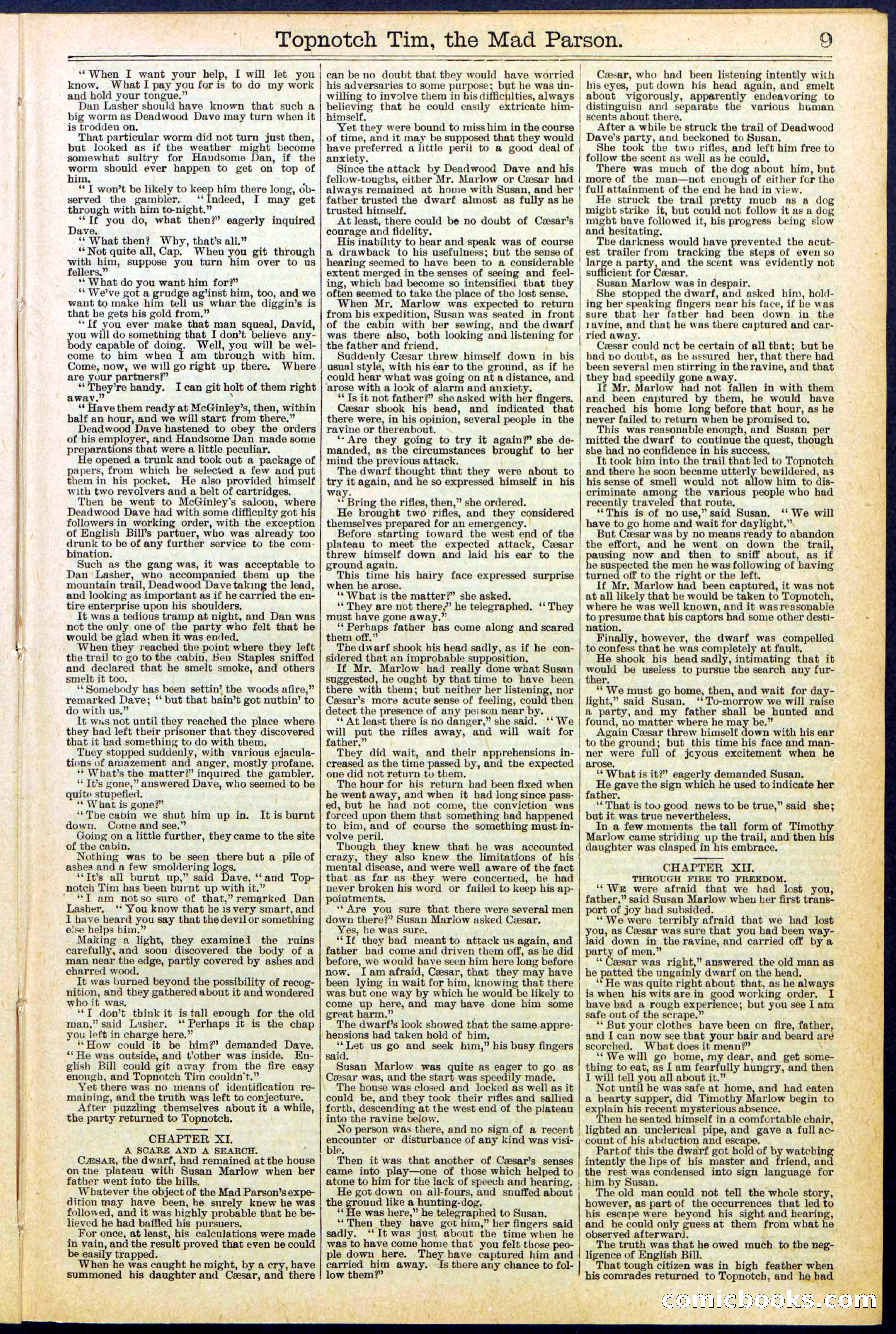 Beadle's New York Dime Library, No. 508 — page 9 of 32