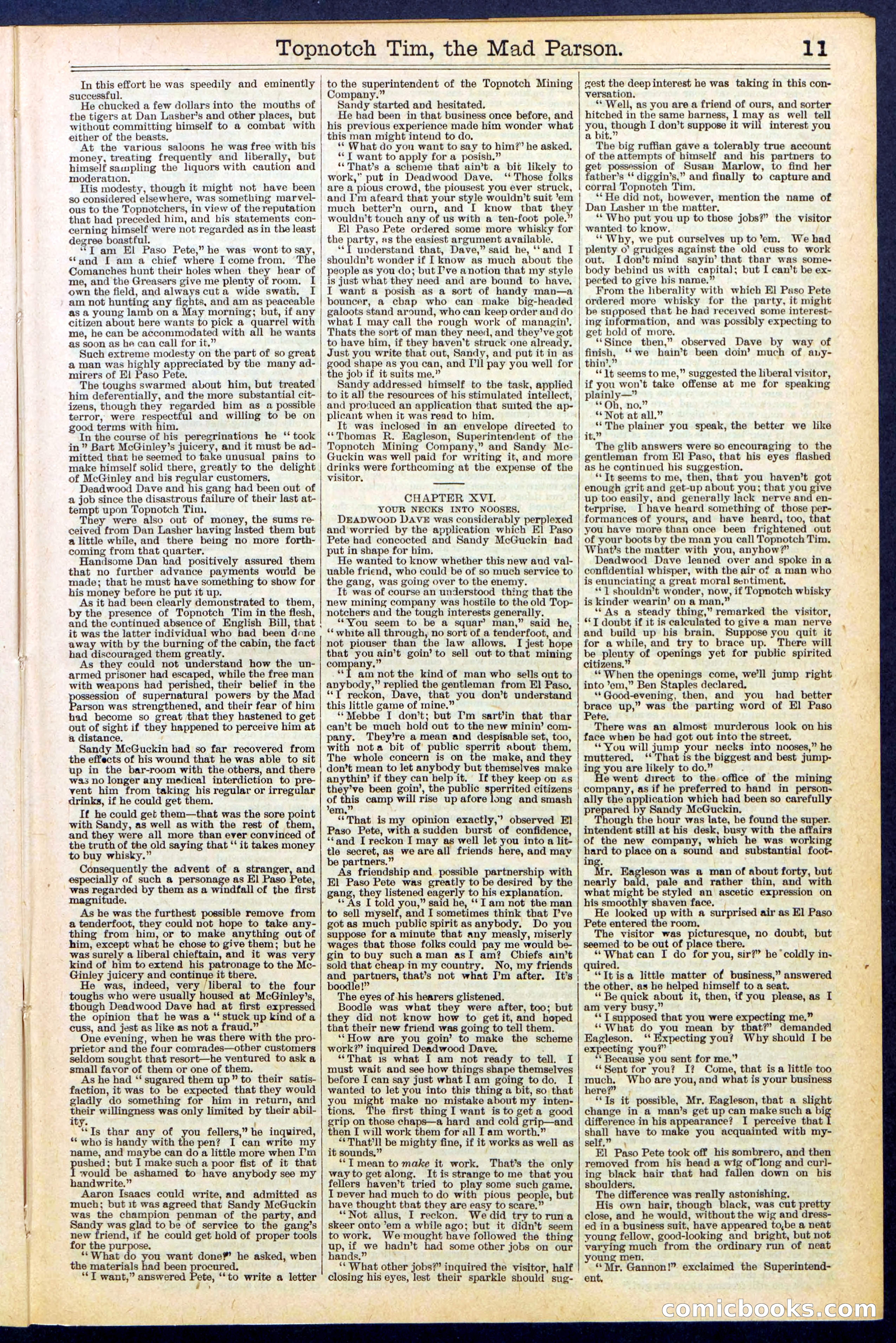Beadle's New York Dime Library, No. 508 — page 11 of 32