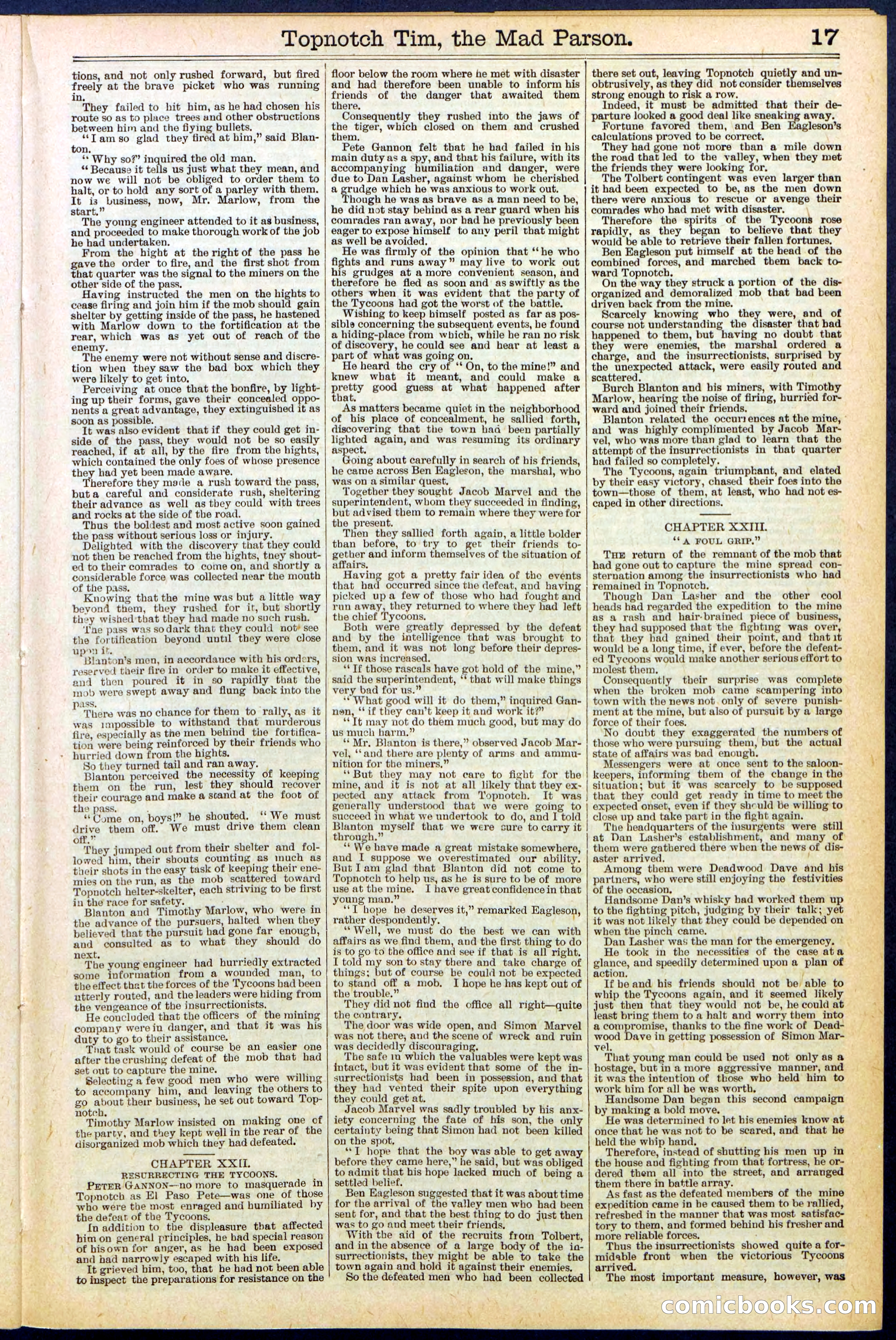 Beadle's New York Dime Library, No. 508 — page 17 of 32