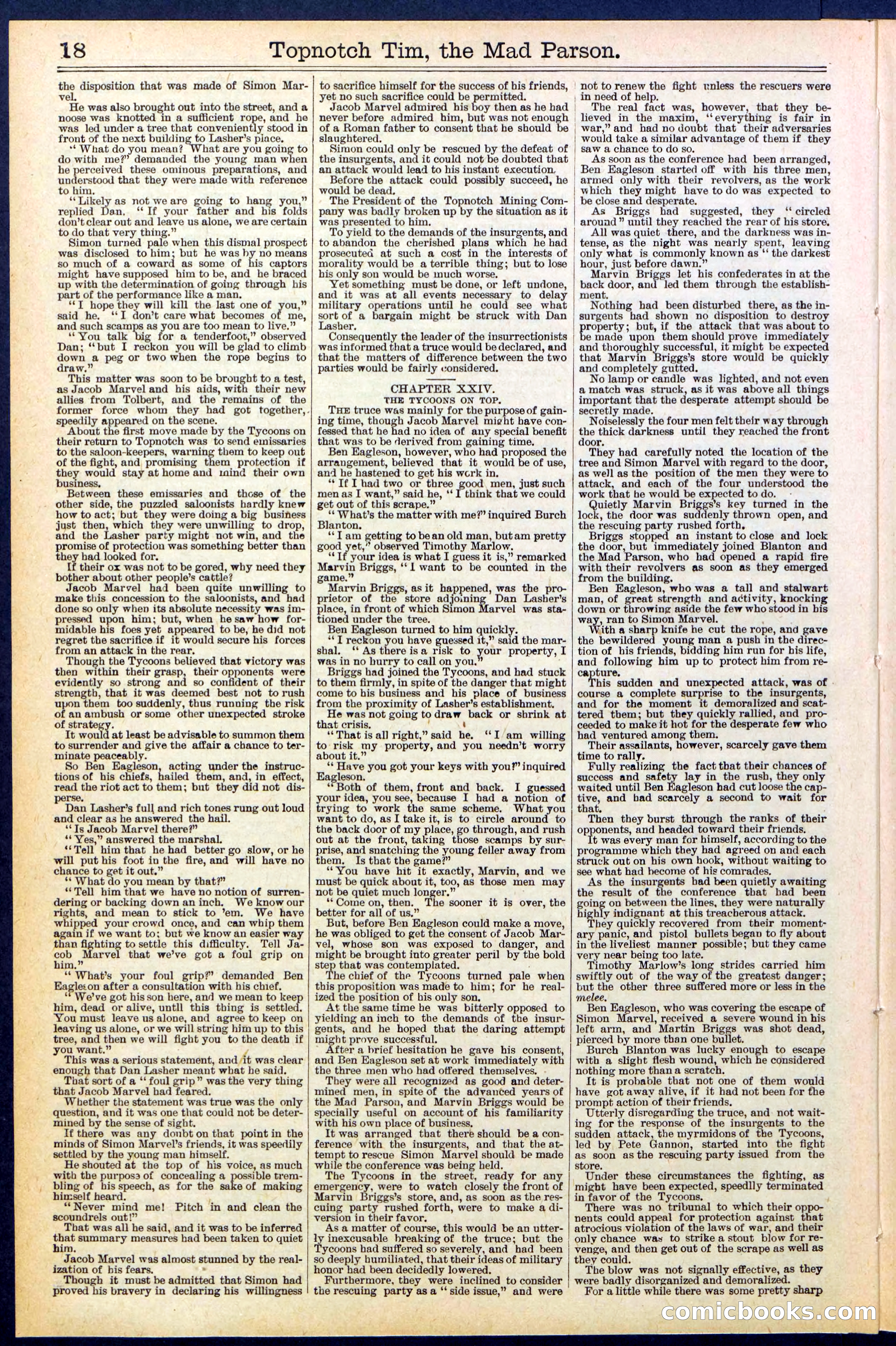 Beadle's New York Dime Library, No. 508 — page 18 of 32