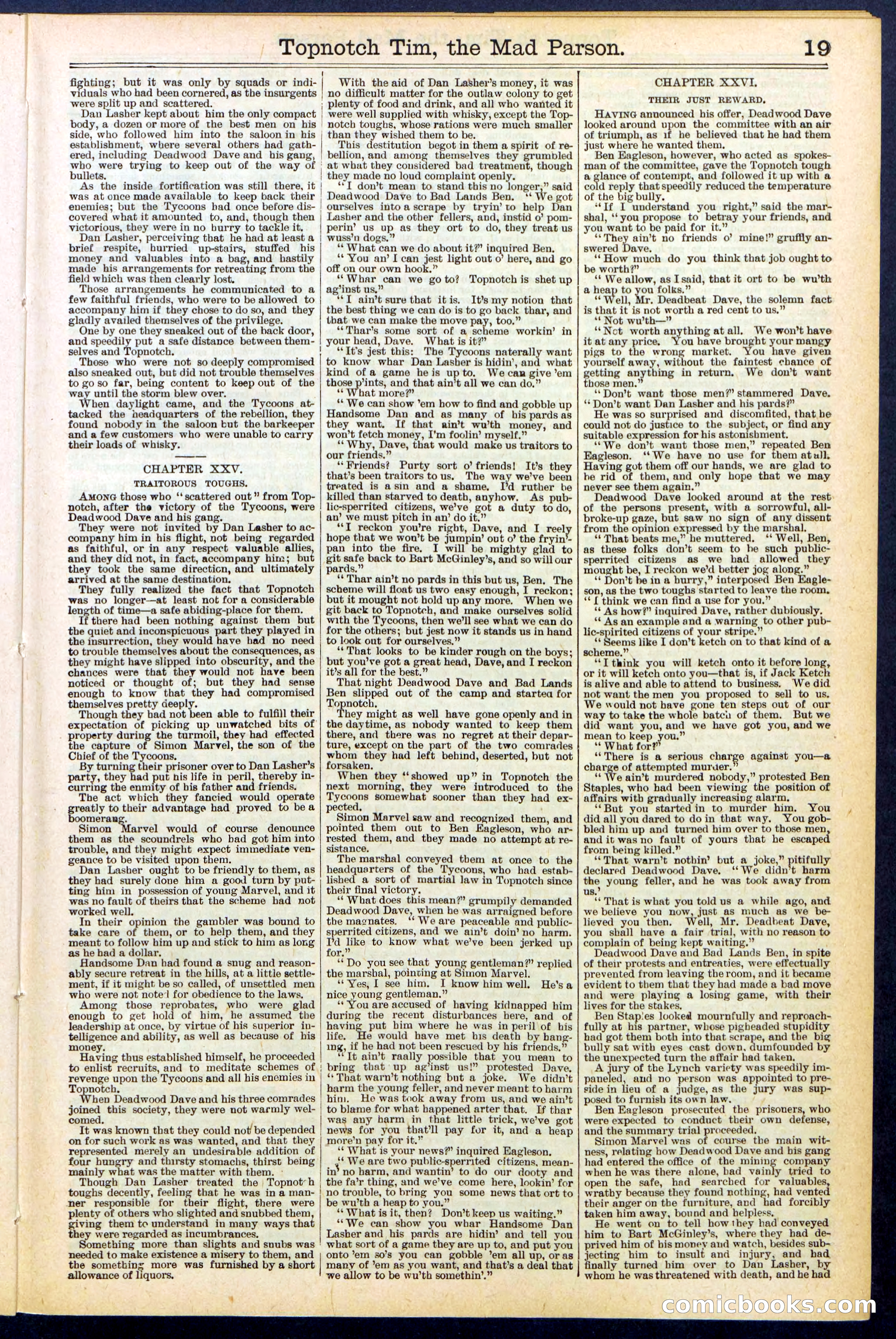 Beadle's New York Dime Library, No. 508 — page 19 of 32
