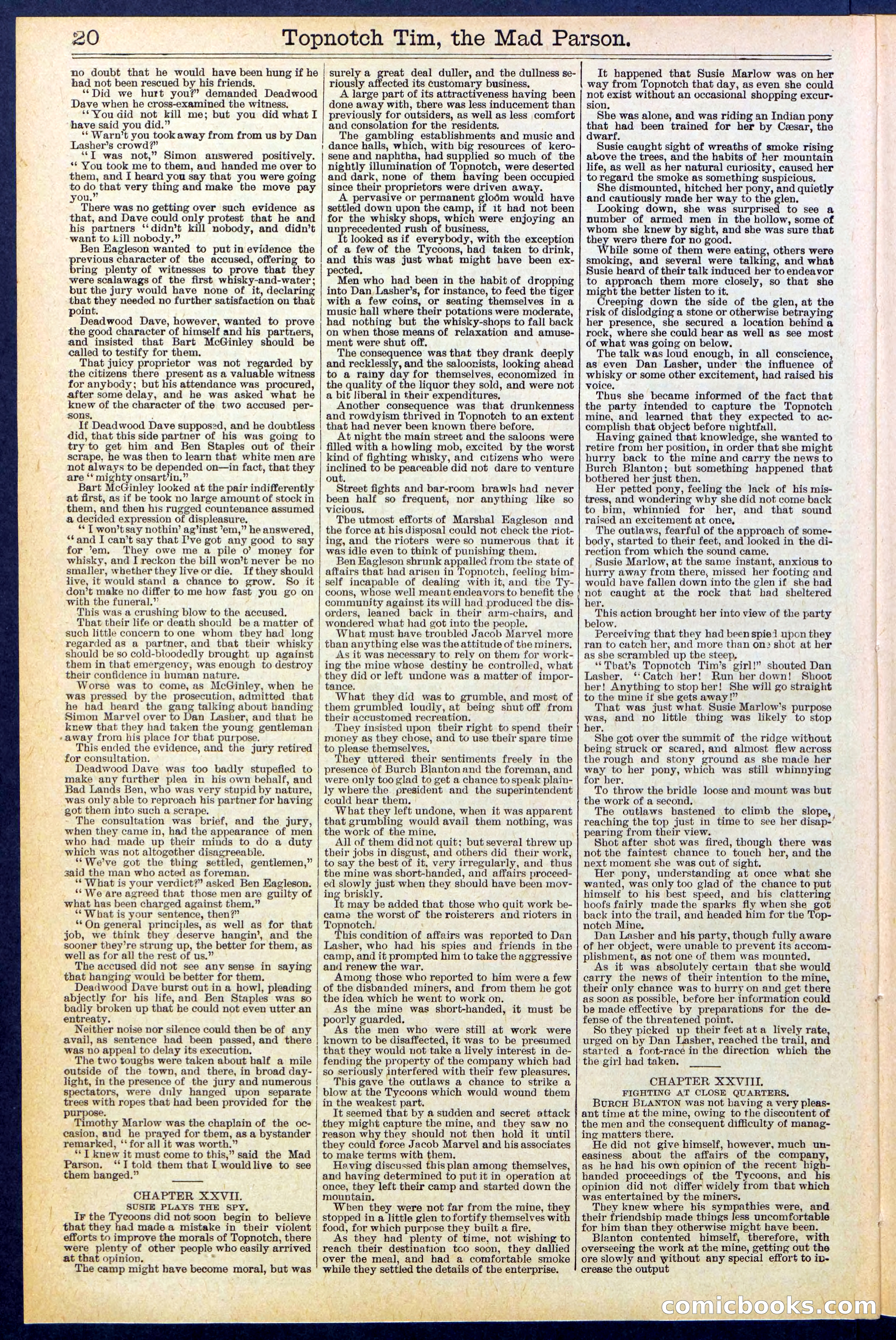 Beadle's New York Dime Library, No. 508 — page 20 of 32
