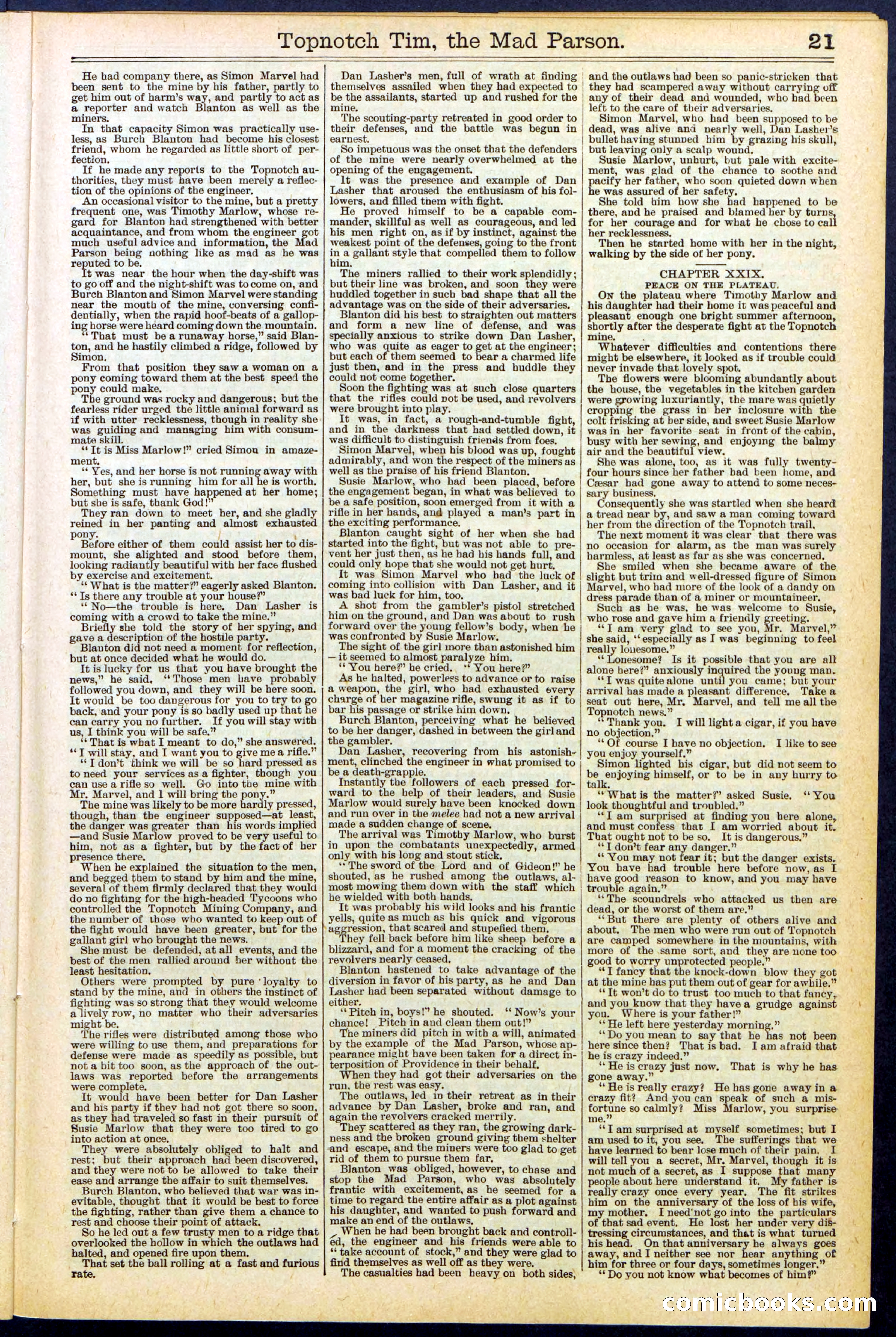Beadle's New York Dime Library, No. 508 — page 21 of 32