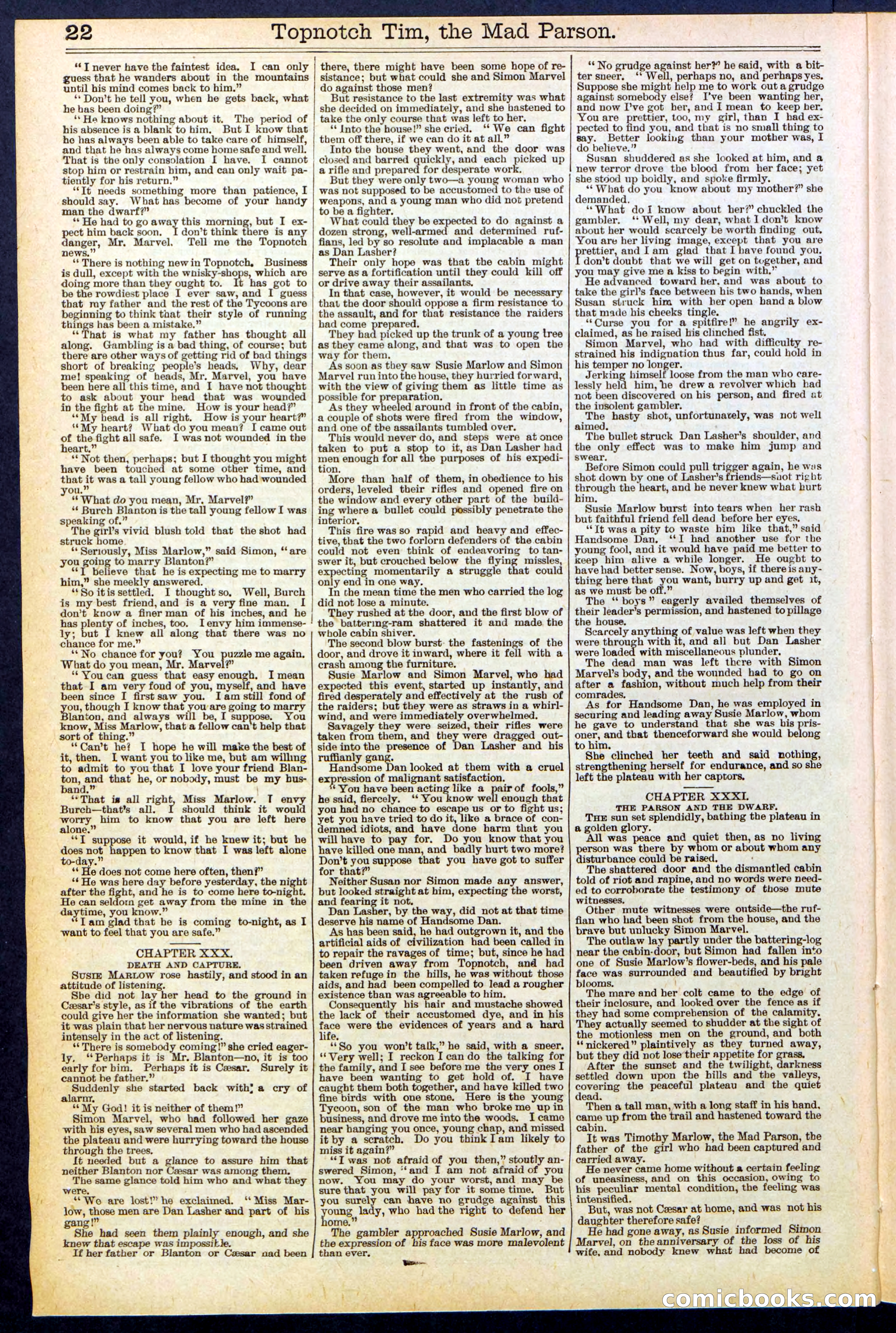 Beadle's New York Dime Library, No. 508 — page 22 of 32