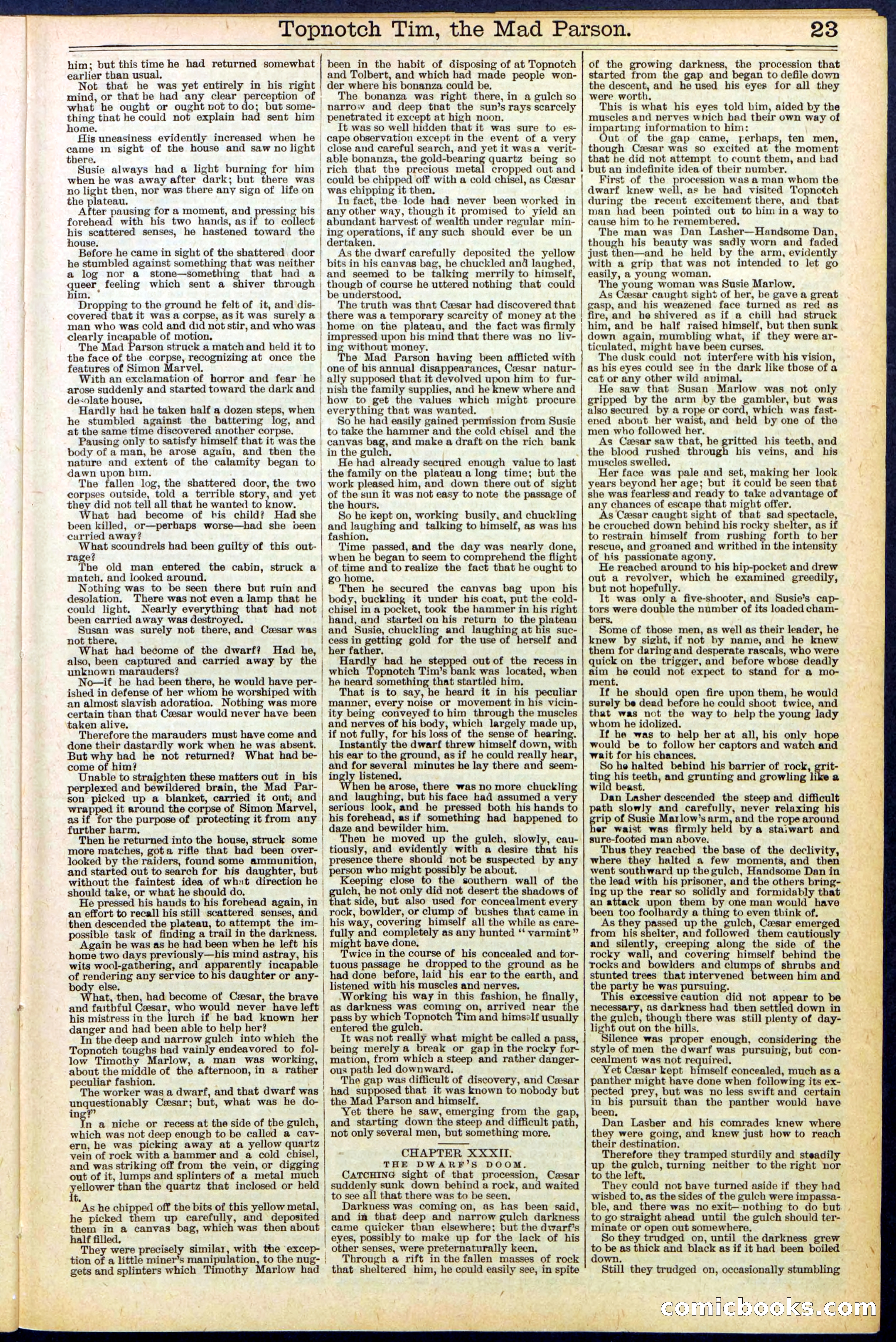 Beadle's New York Dime Library, No. 508 — page 23 of 32