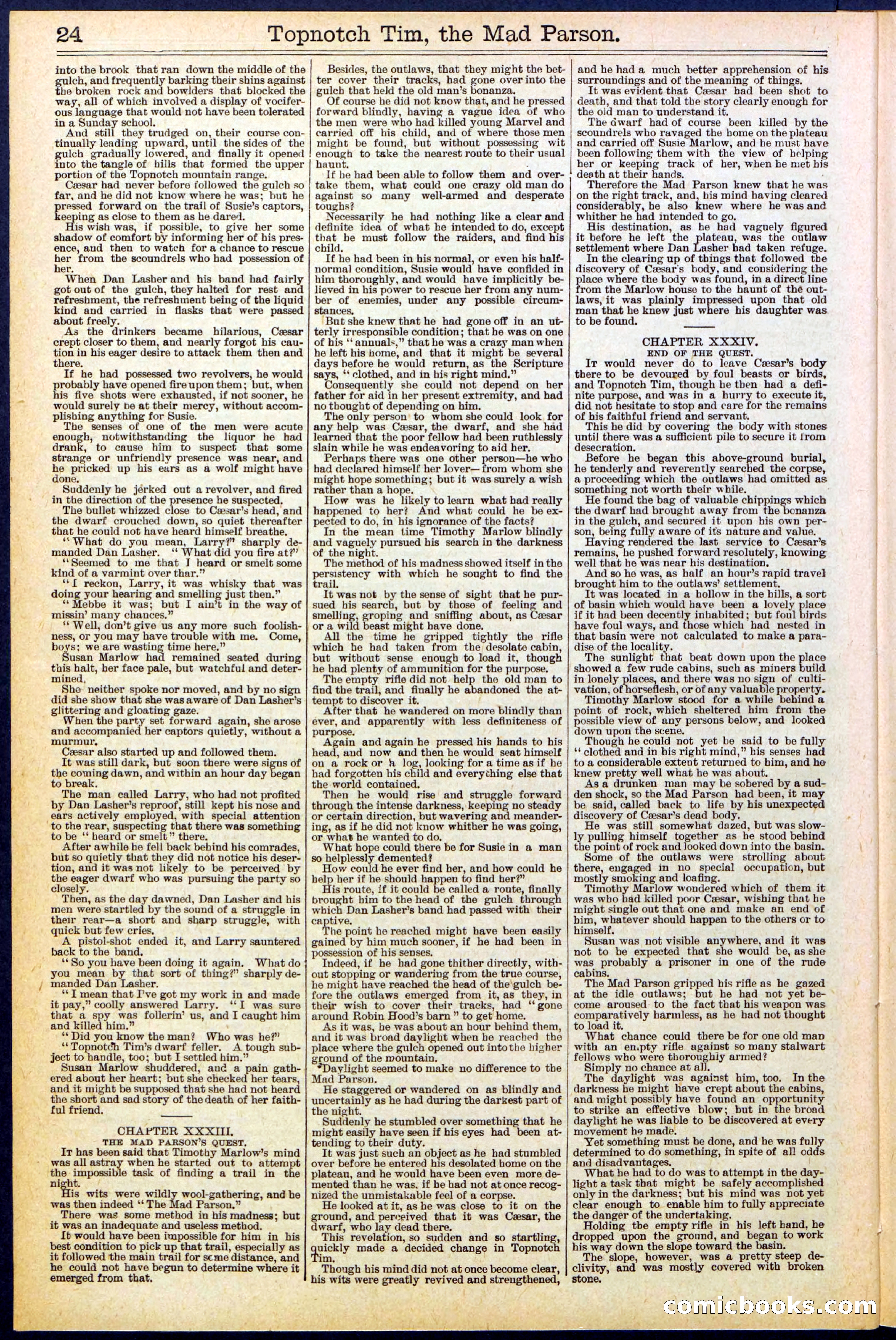 Beadle's New York Dime Library, No. 508 — page 24 of 32