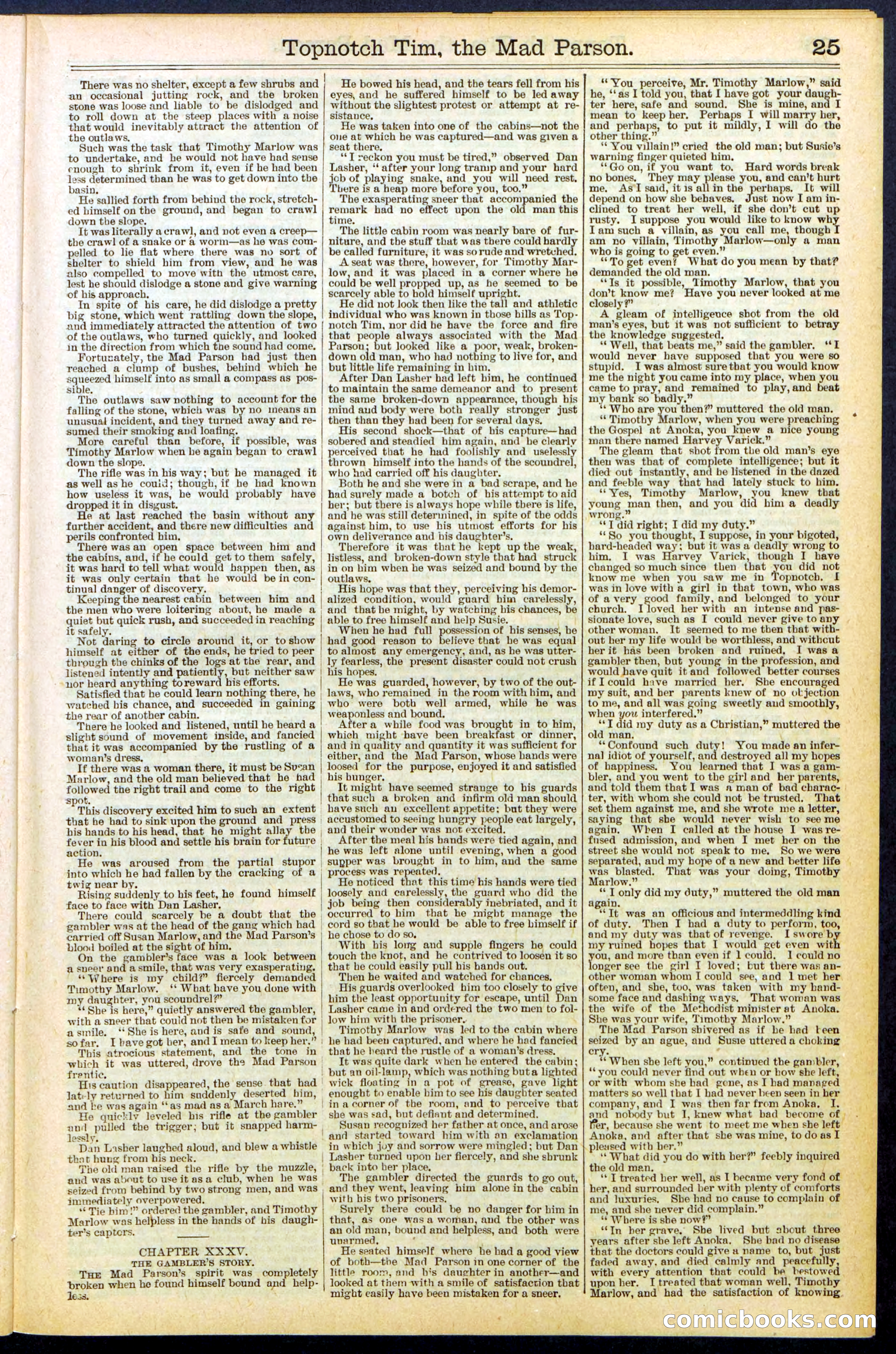 Beadle's New York Dime Library, No. 508 — page 25 of 32