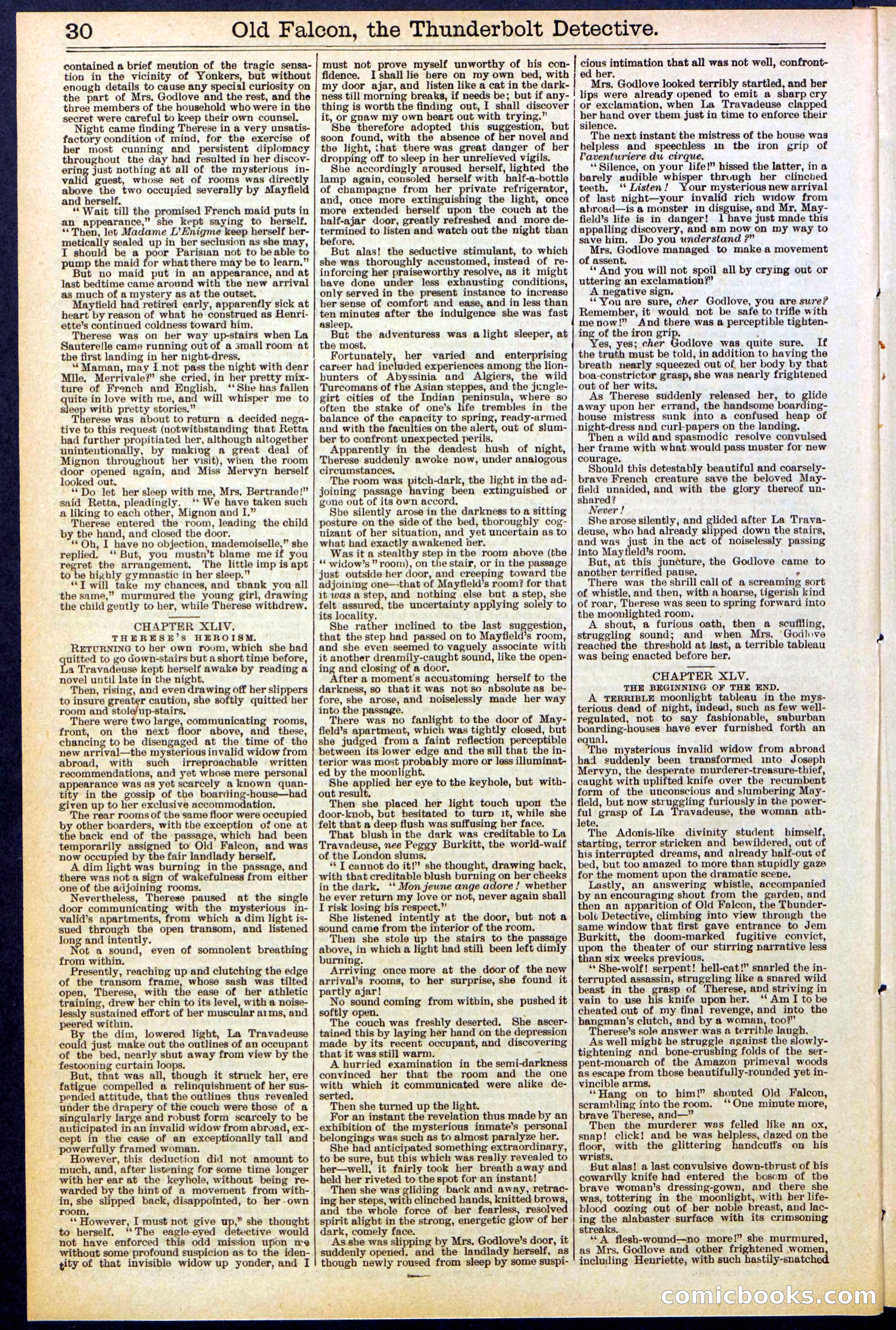 Beadle's Dime Library No. 509 — page 30 of 32