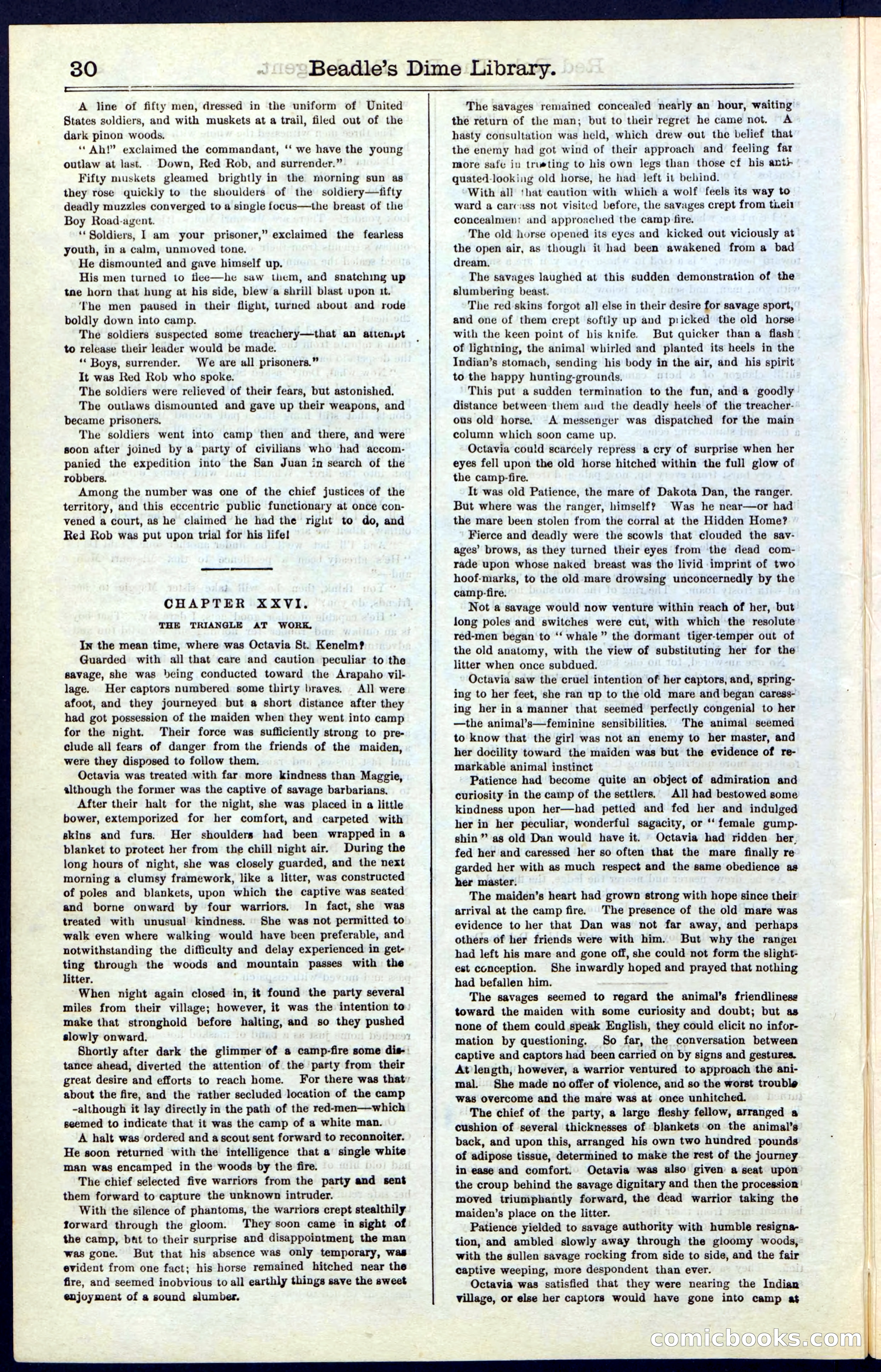 Beadle's Dime Library No. 51: Red Rob, The Boy Road-Agent — page 30 of 44