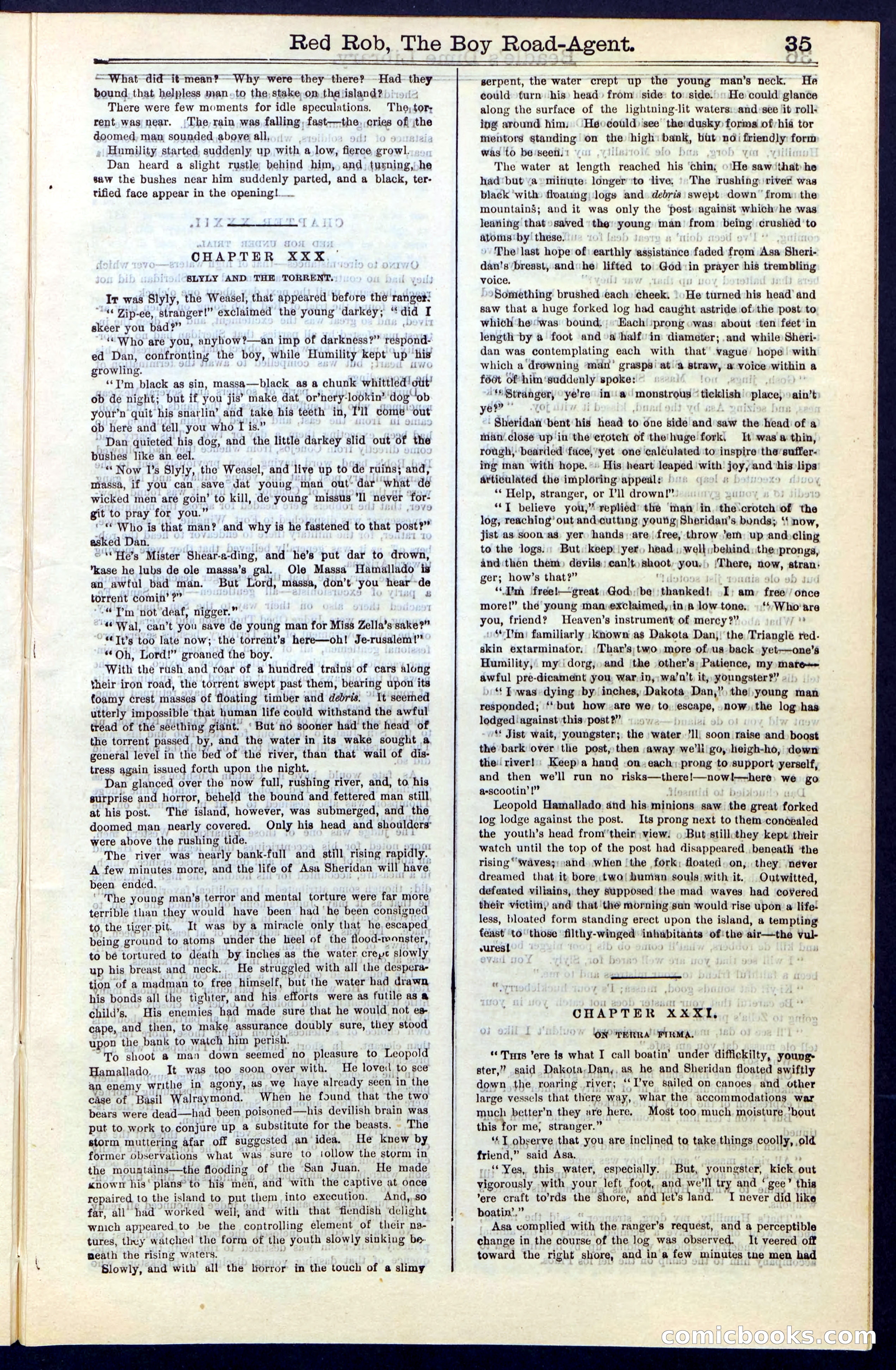 Beadle's Dime Library No. 51: Red Rob, The Boy Road-Agent — page 35 of 44