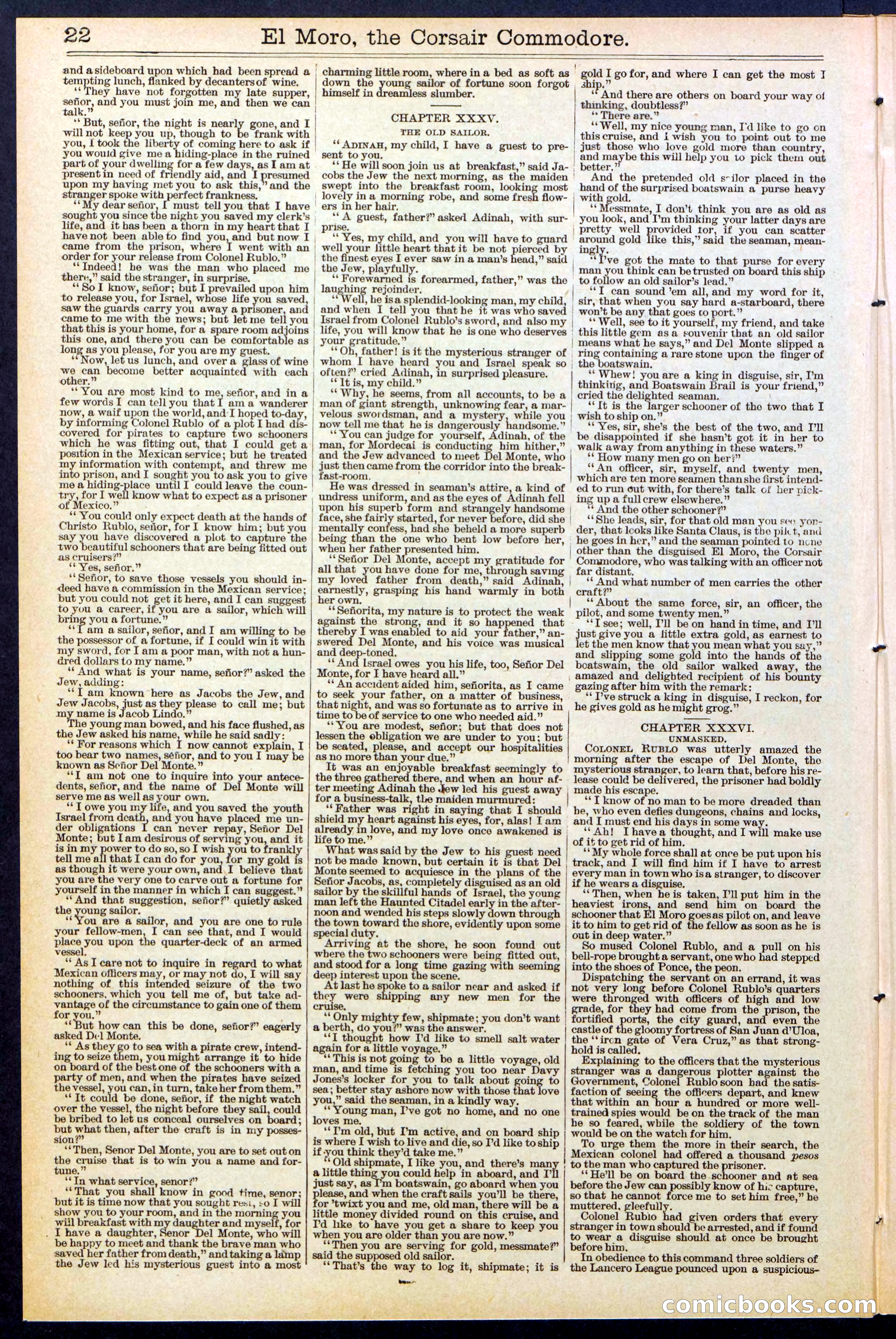 Beadle's Dime Library No. 510 — page 22 of 32