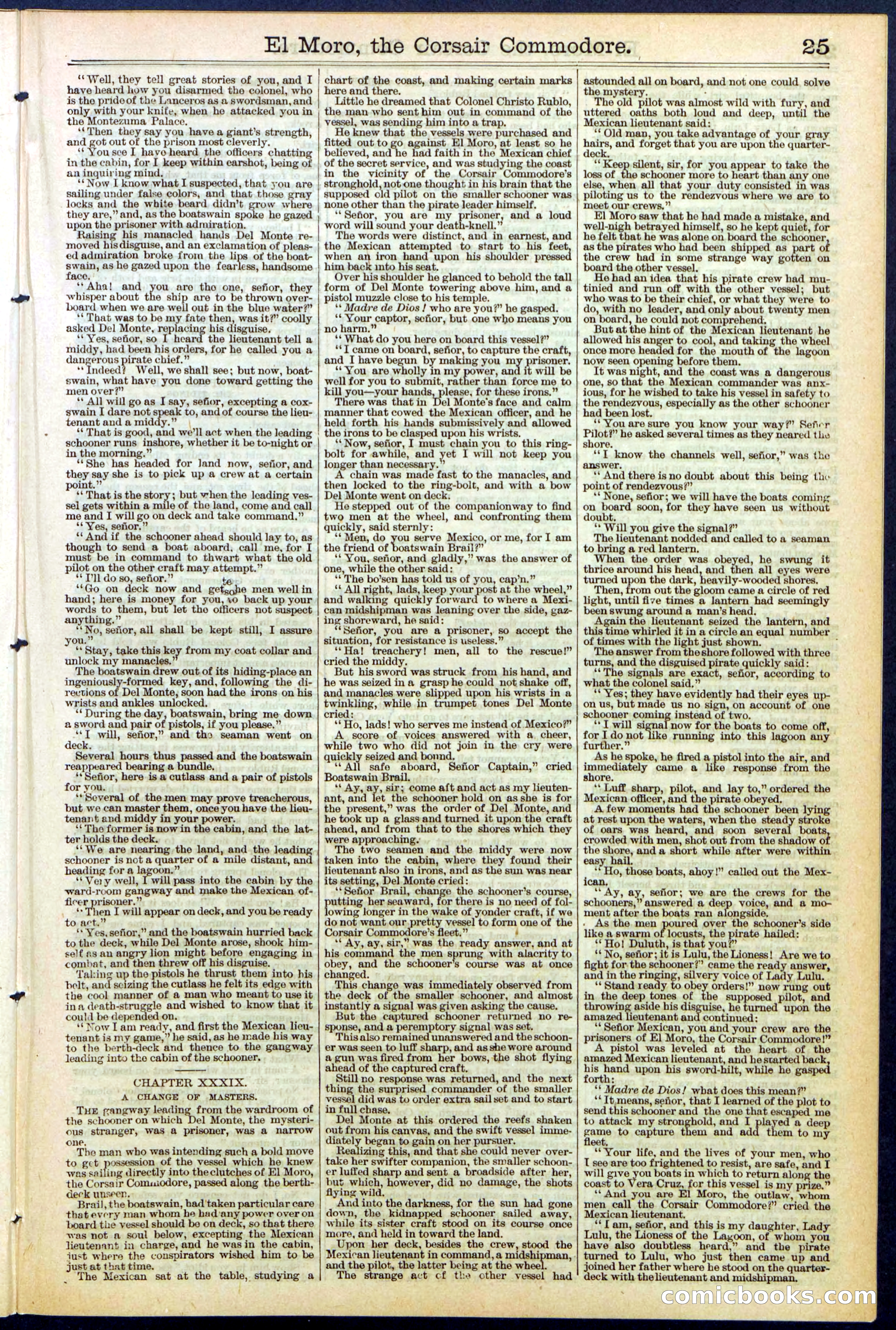 Beadle's Dime Library No. 510 — page 25 of 32