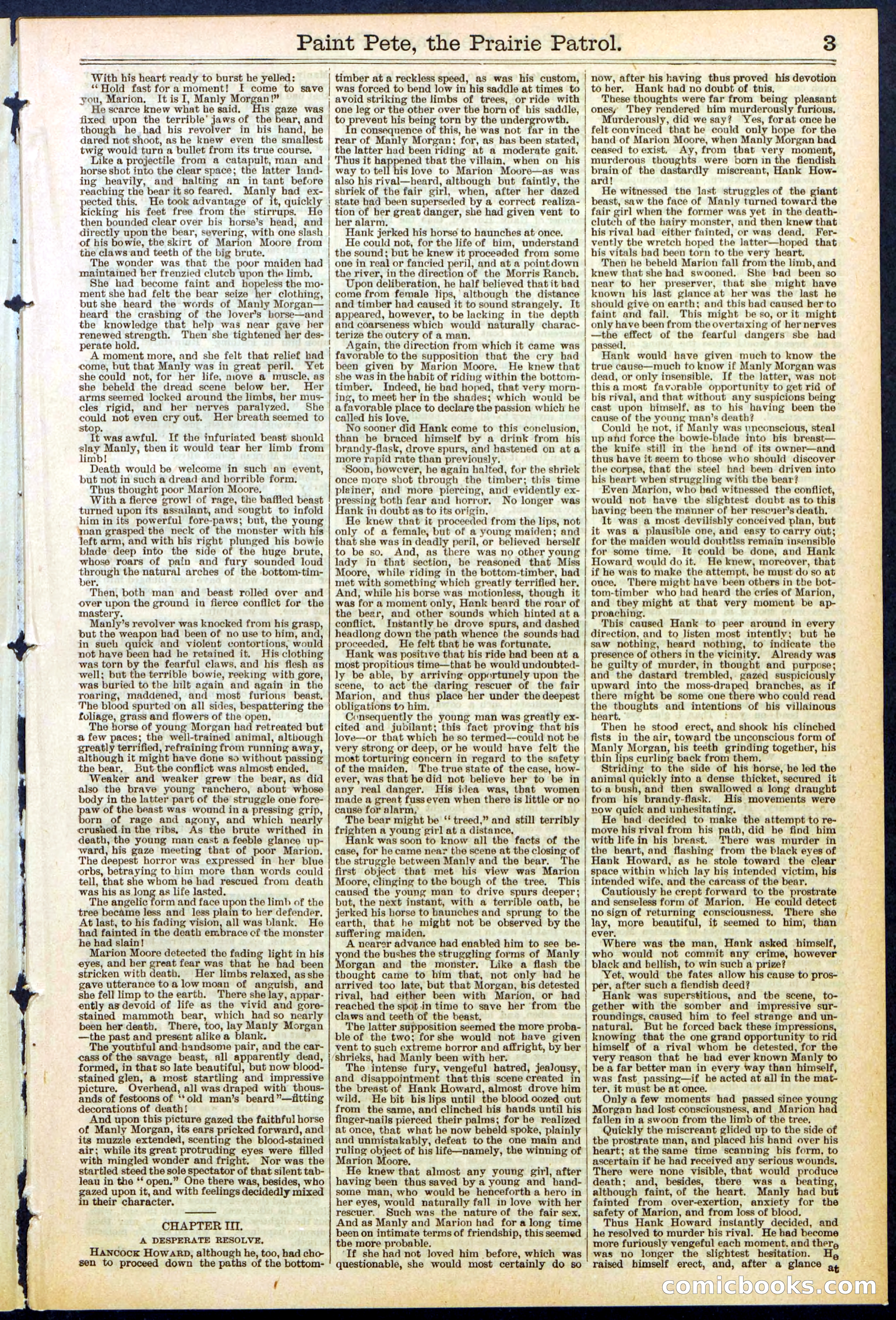 Beadle's New York Dime Library, No. 511 — page 3 of 32