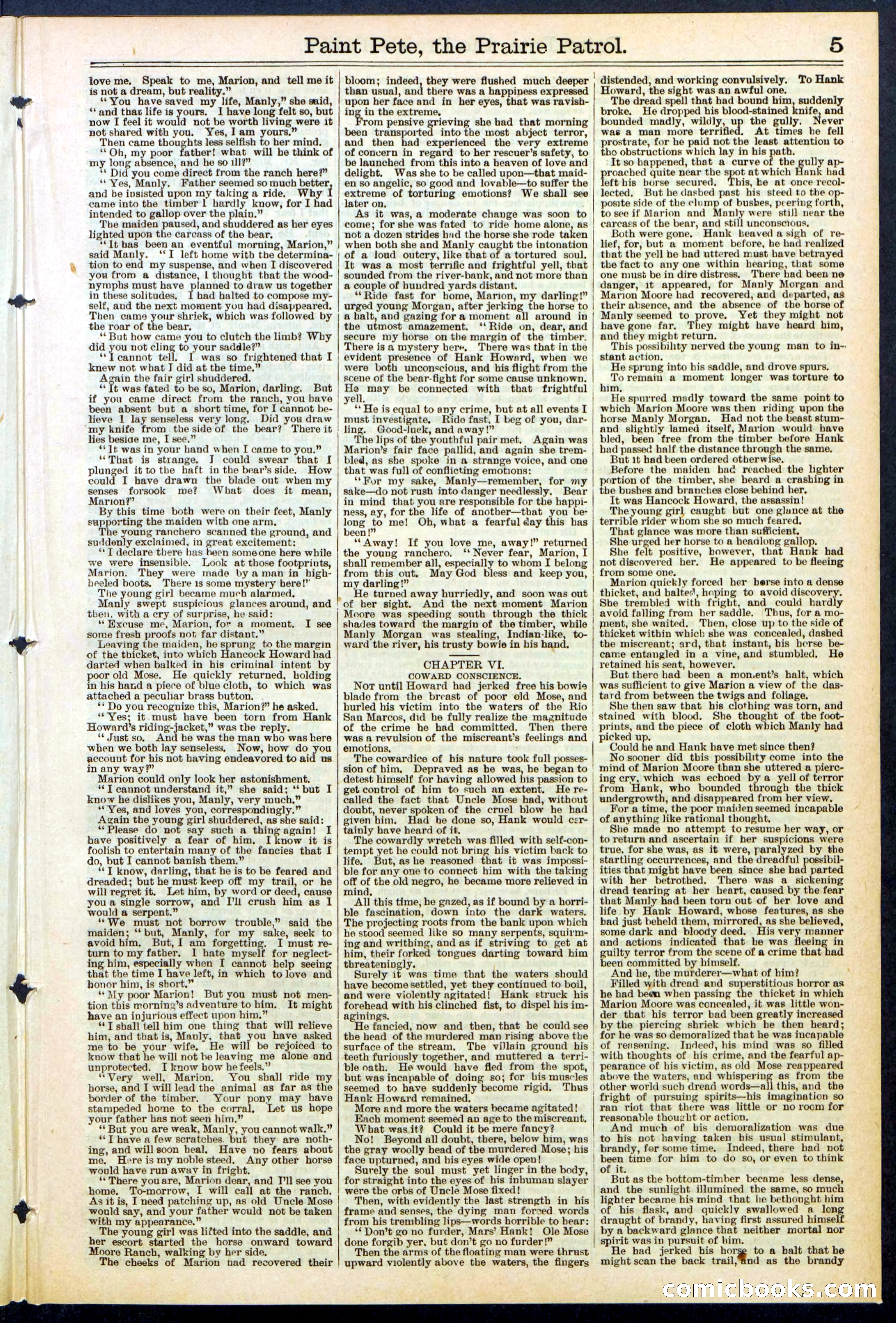 Beadle's New York Dime Library, No. 511 — page 5 of 32