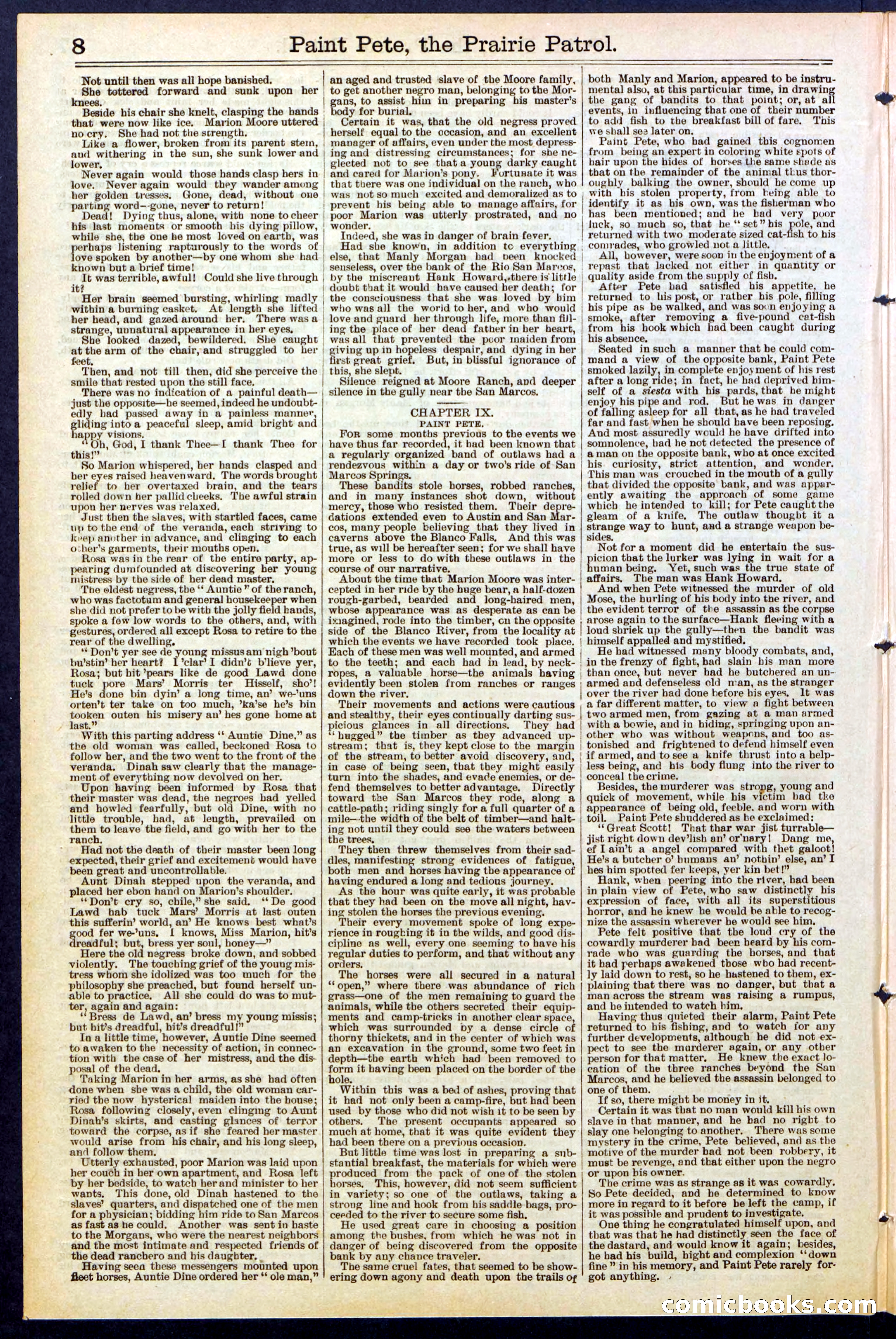 Beadle's New York Dime Library, No. 511 — page 8 of 32