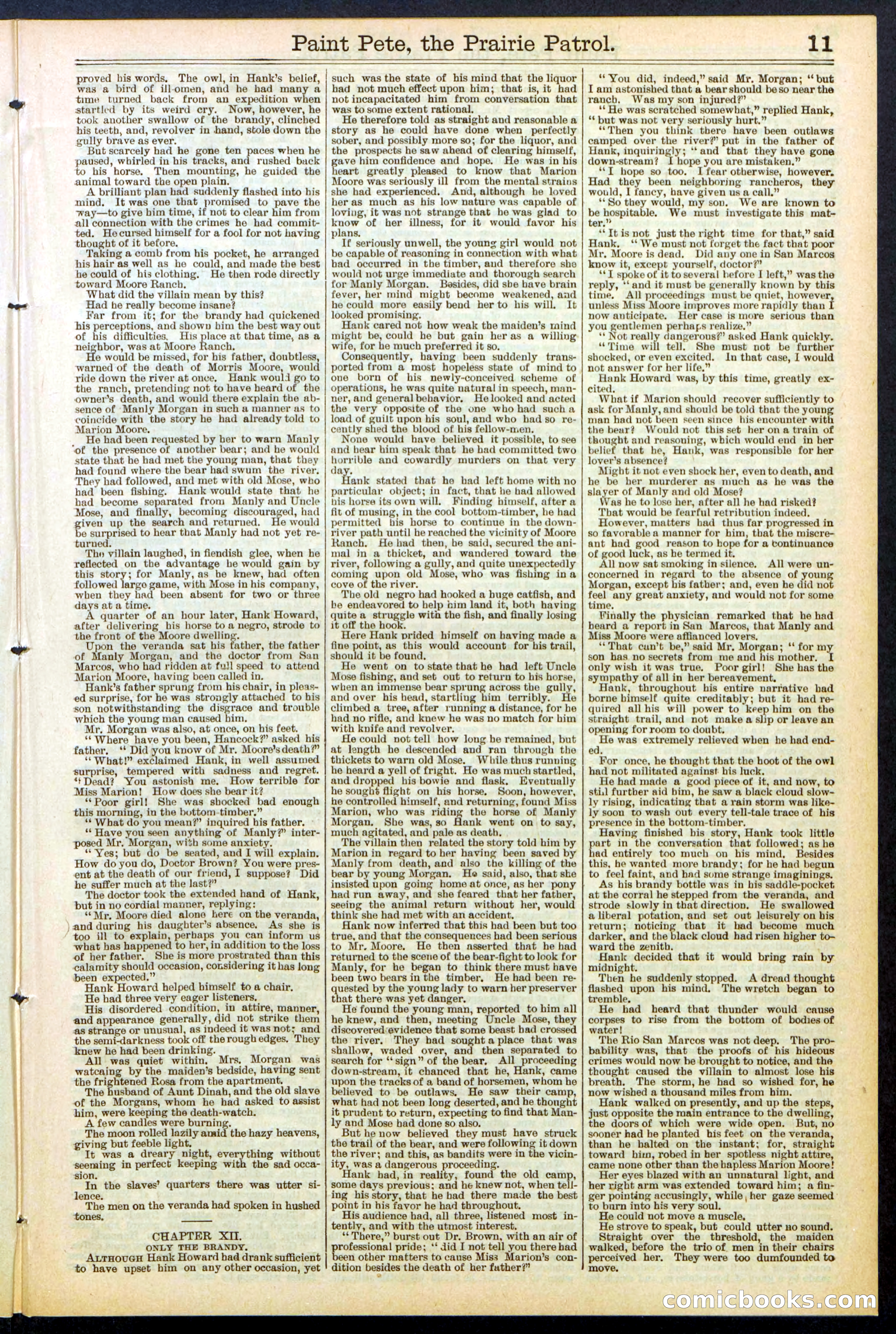 Beadle's New York Dime Library, No. 511 — page 11 of 32