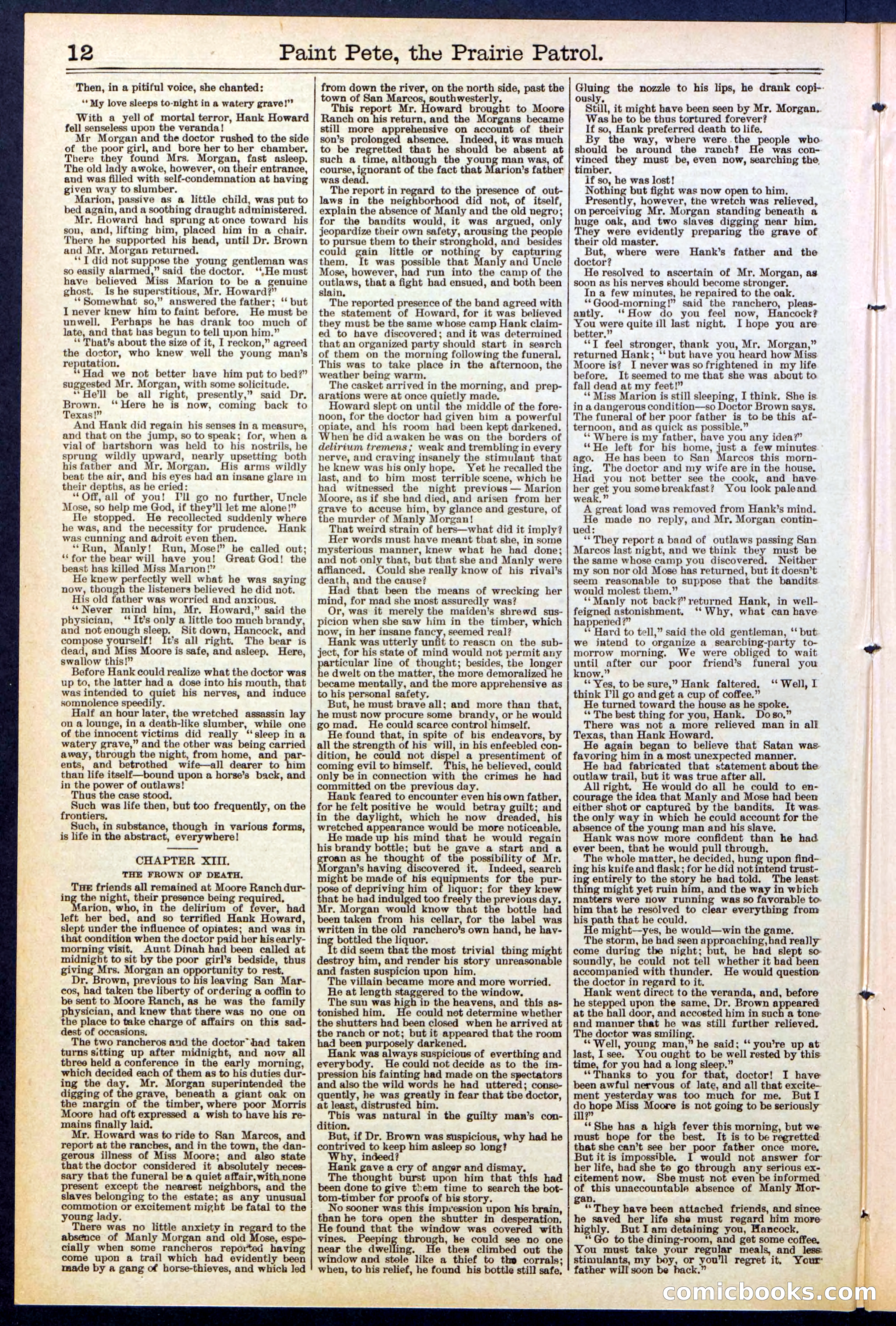 Beadle's New York Dime Library, No. 511 — page 12 of 32