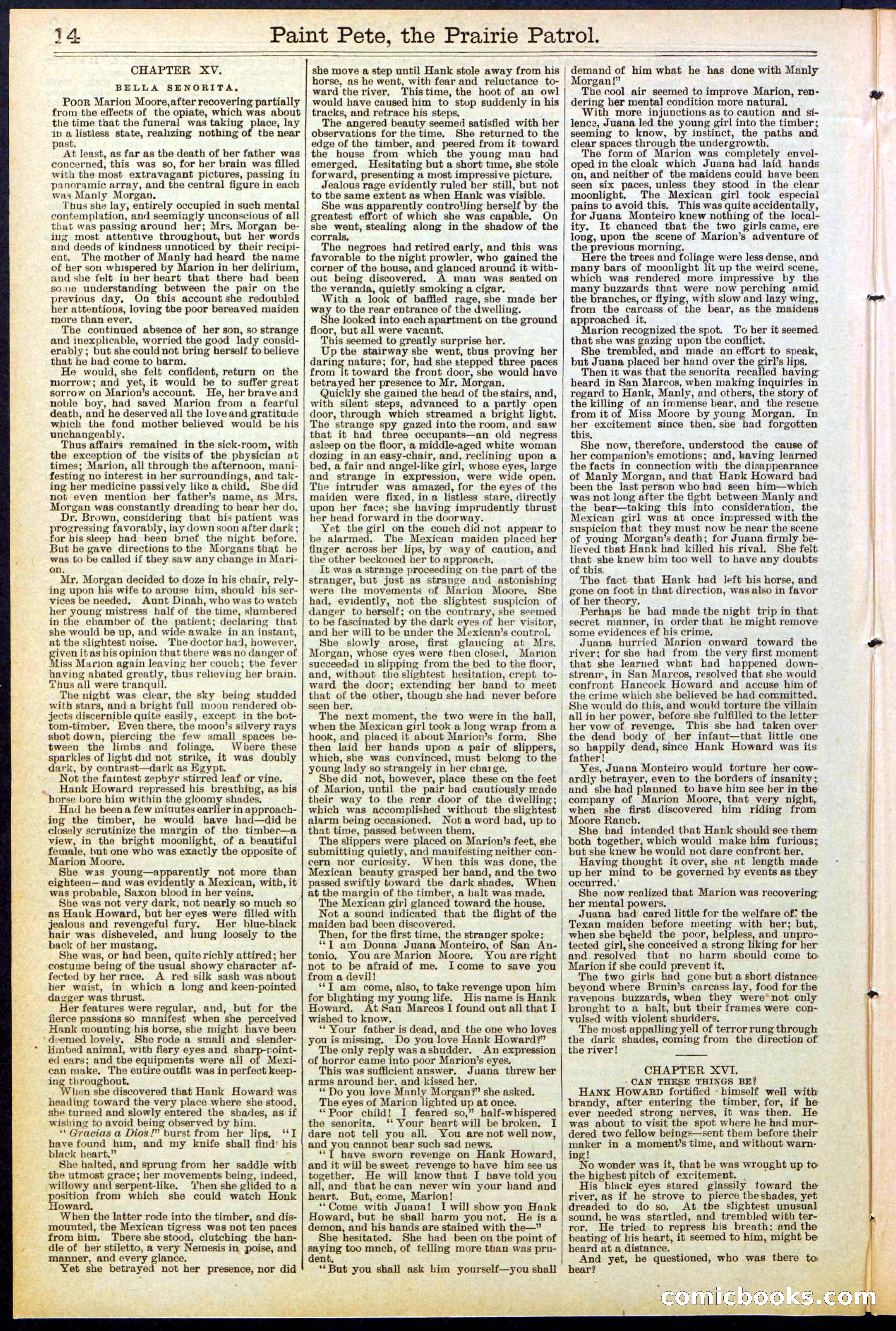 Beadle's New York Dime Library, No. 511 — page 14 of 32