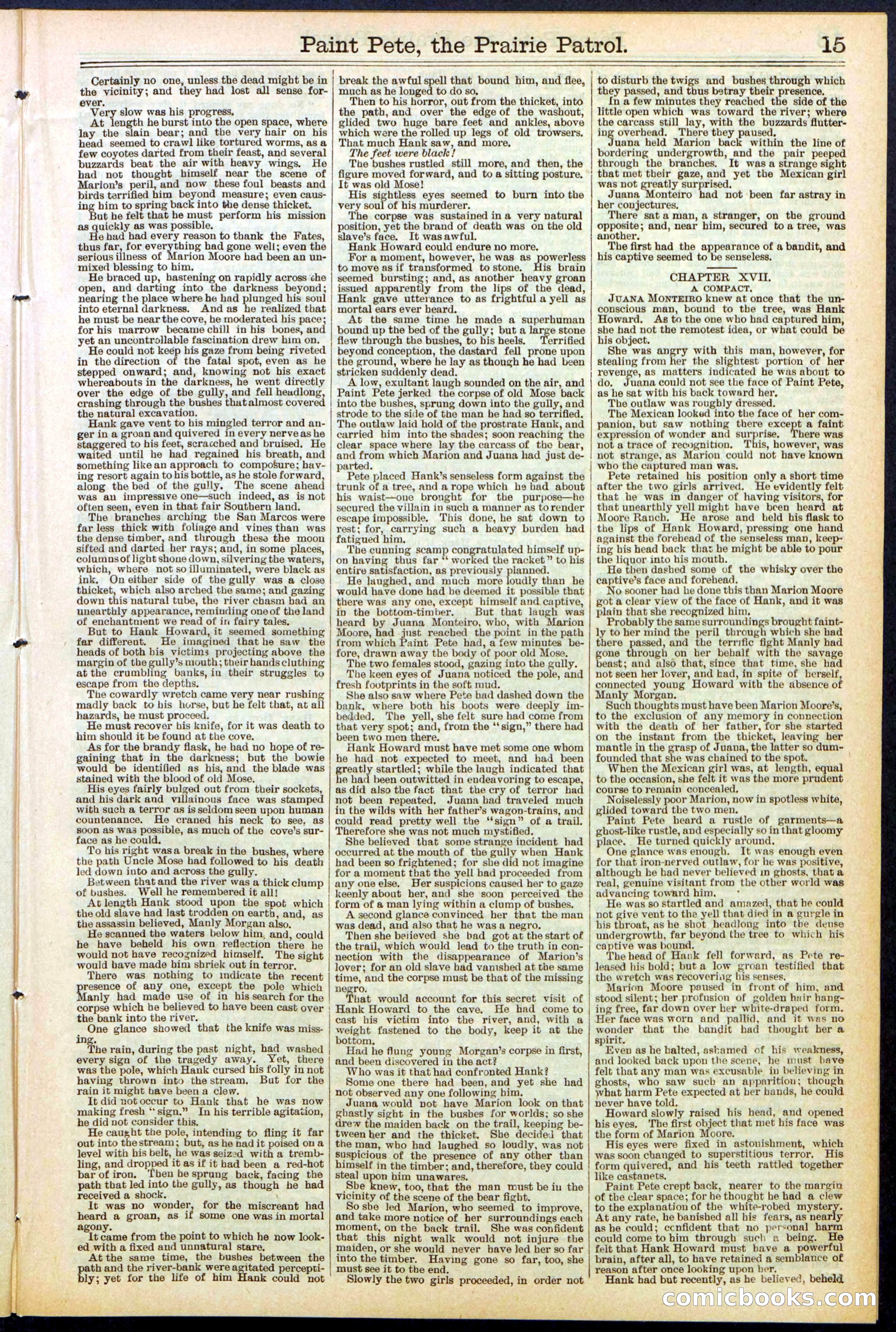 Beadle's New York Dime Library, No. 511 — page 15 of 32
