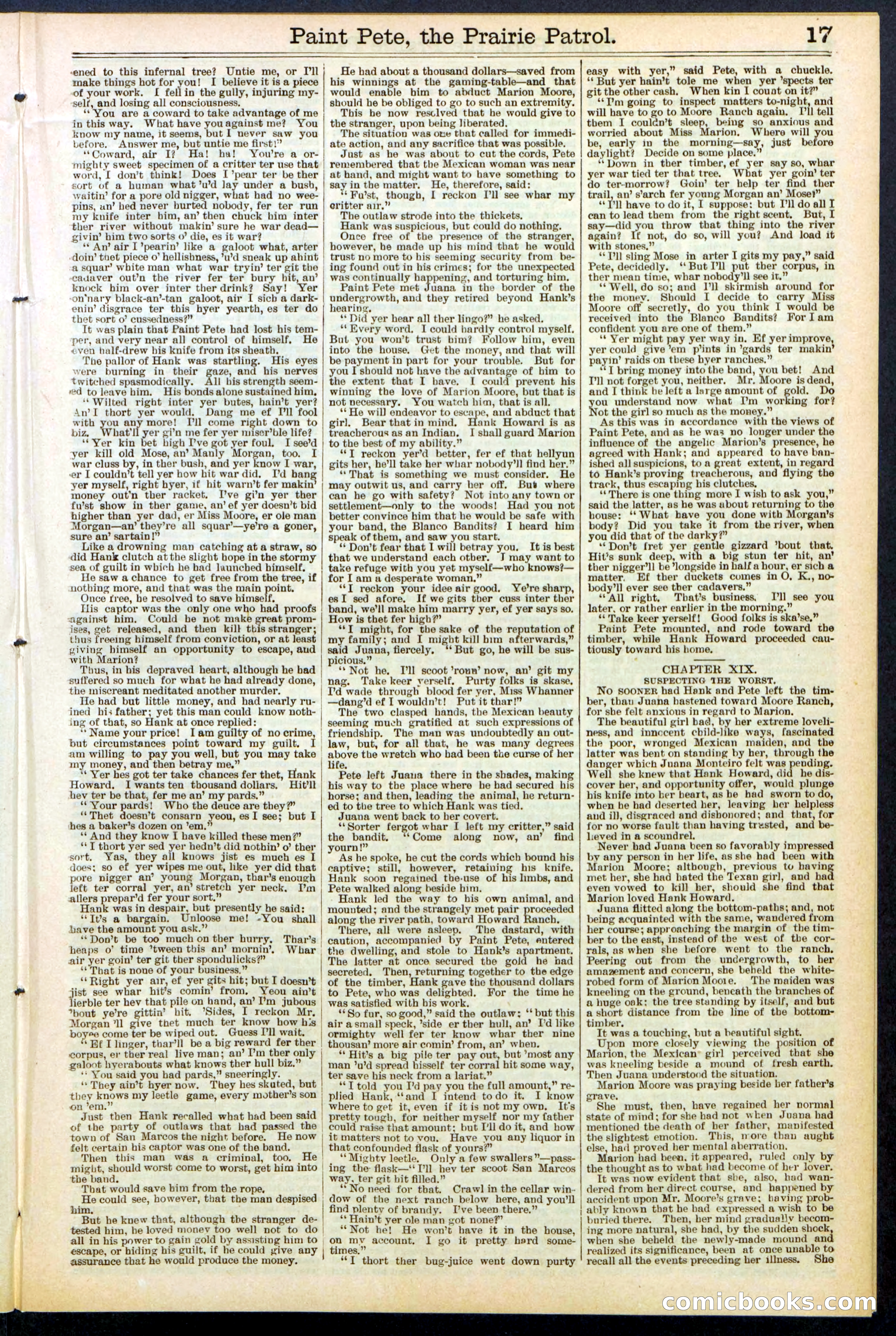 Beadle's New York Dime Library, No. 511 — page 17 of 32