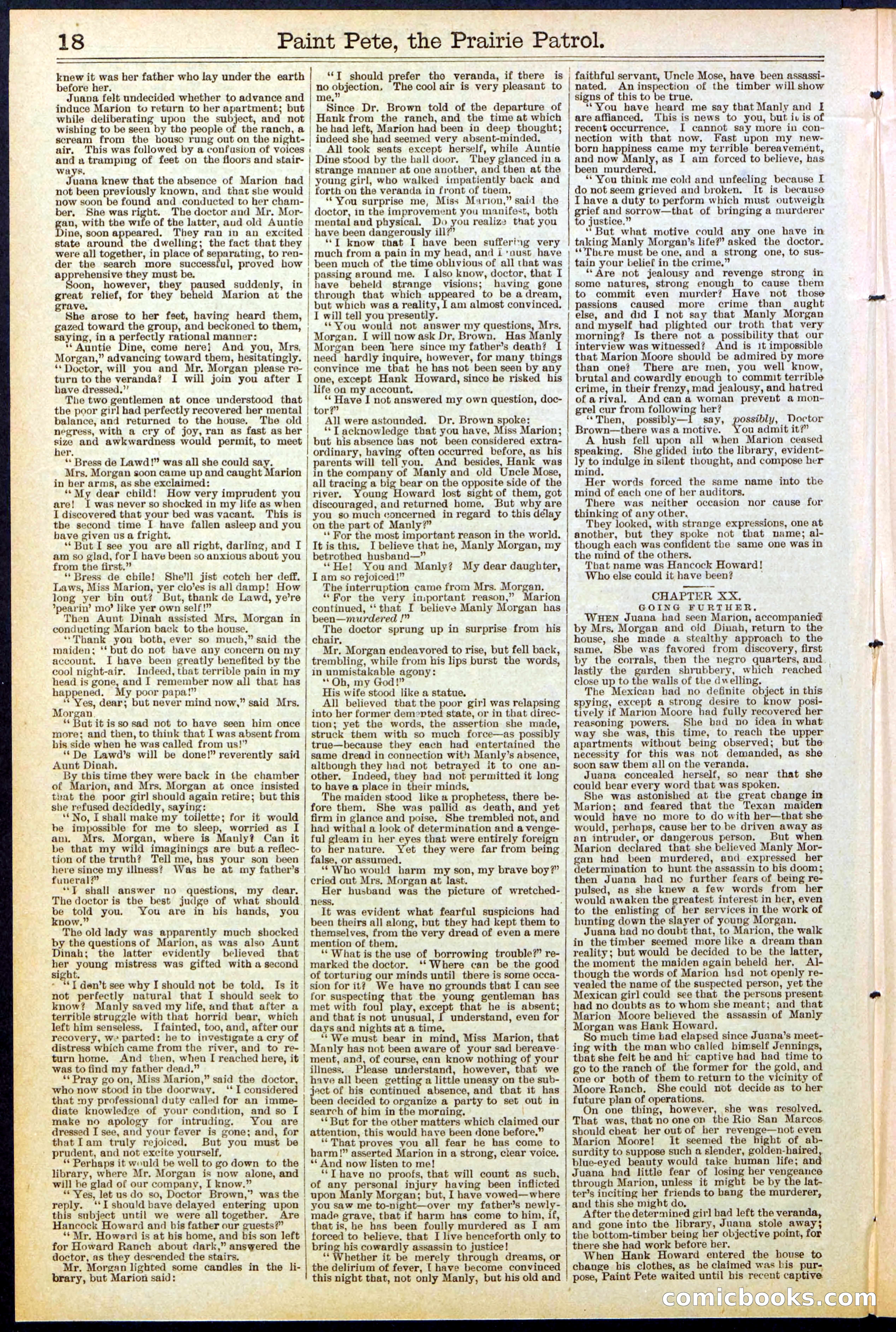 Beadle's New York Dime Library, No. 511 — page 18 of 32