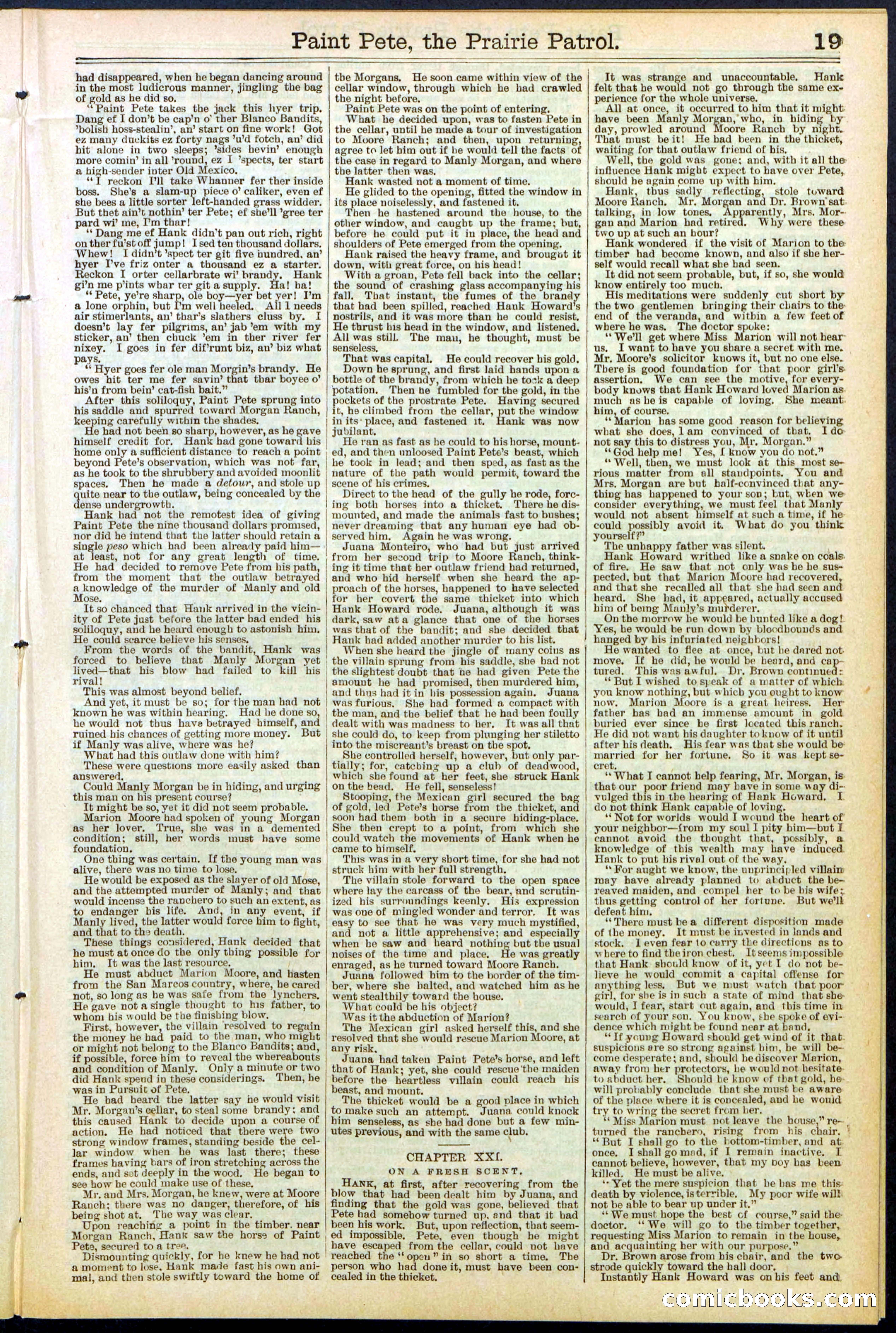 Beadle's New York Dime Library, No. 511 — page 19 of 32