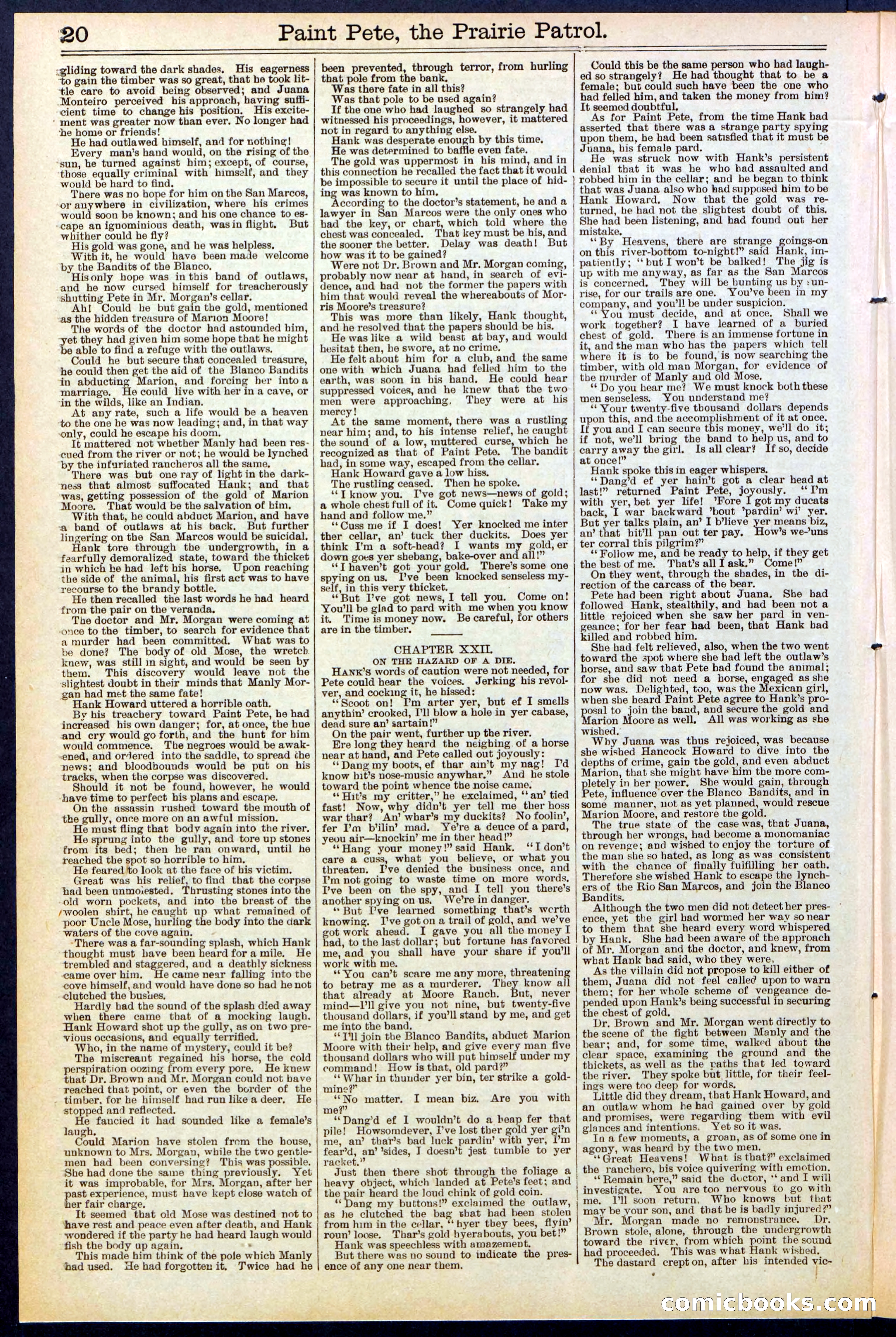 Beadle's New York Dime Library, No. 511 — page 20 of 32