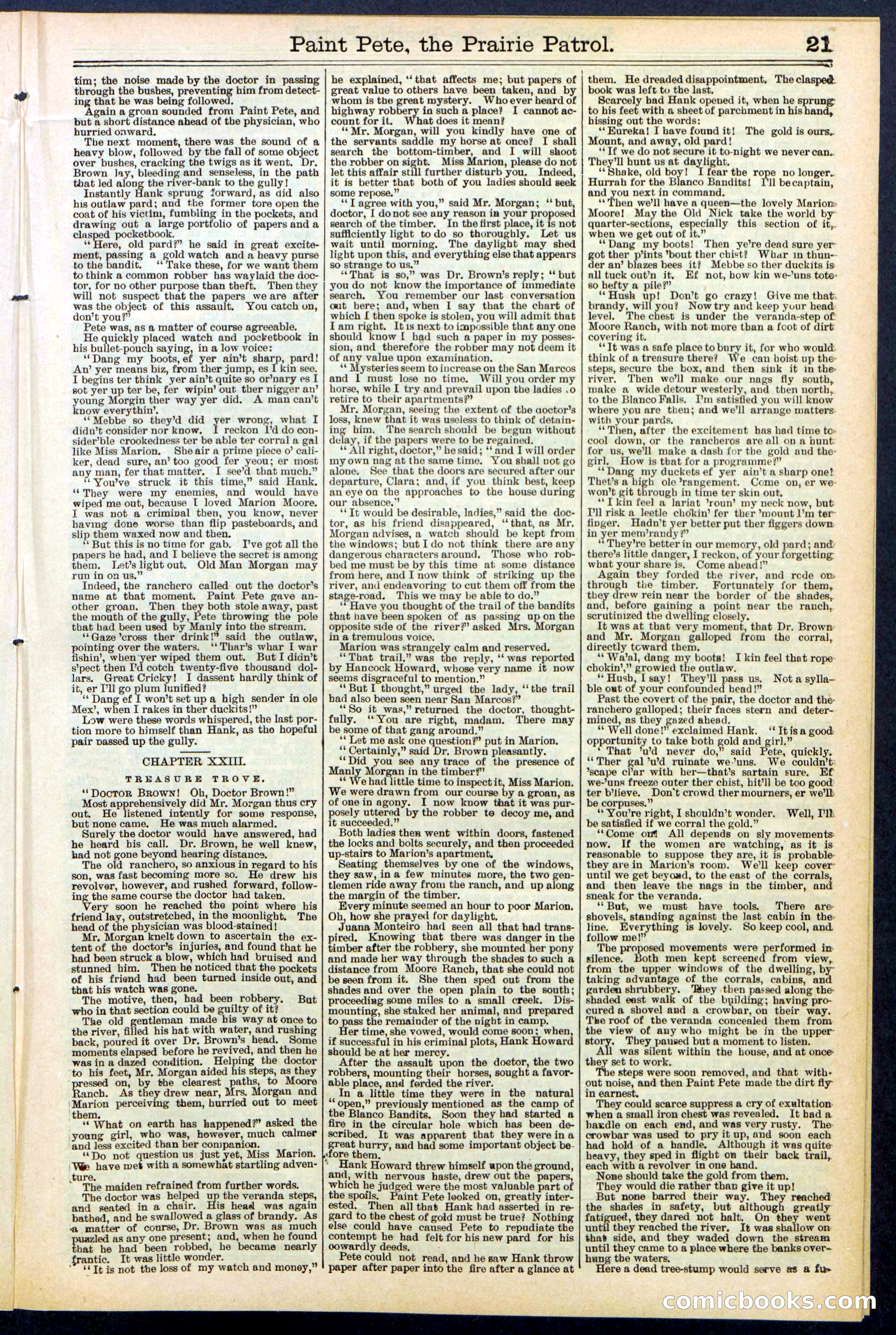 Beadle's New York Dime Library, No. 511 — page 21 of 32