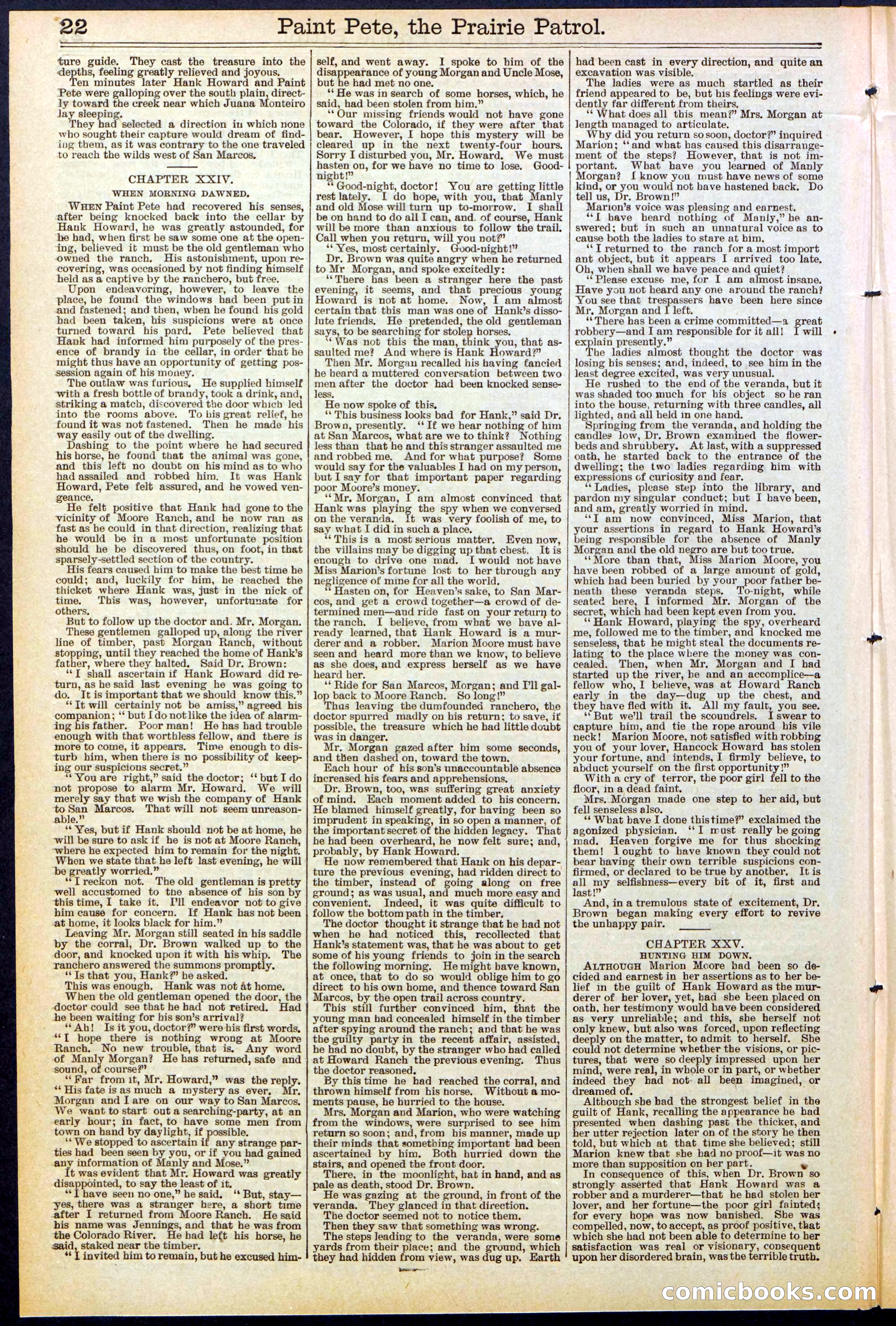 Beadle's New York Dime Library, No. 511 — page 22 of 32
