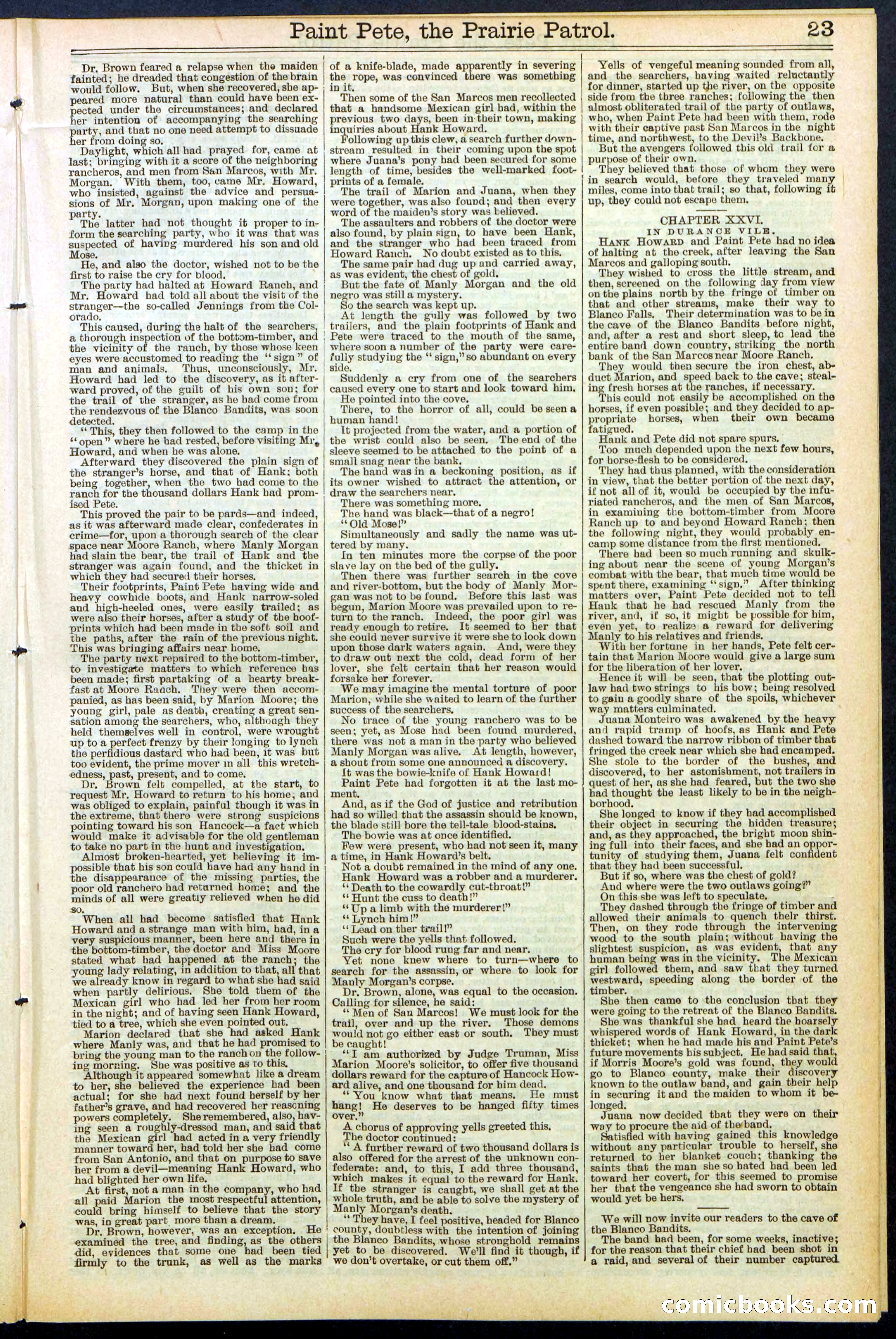Beadle's New York Dime Library, No. 511 — page 23 of 32