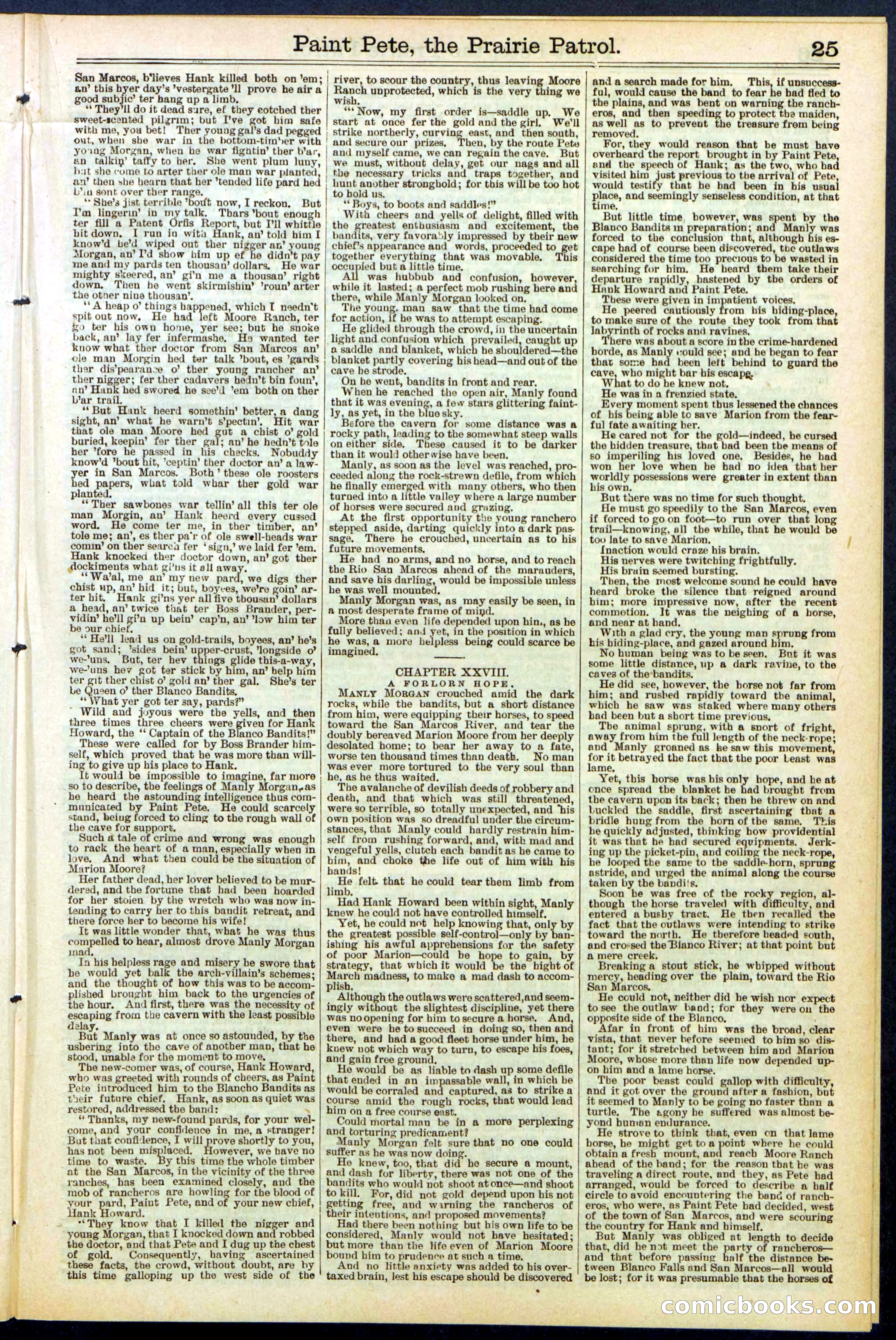 Beadle's New York Dime Library, No. 511 — page 25 of 32