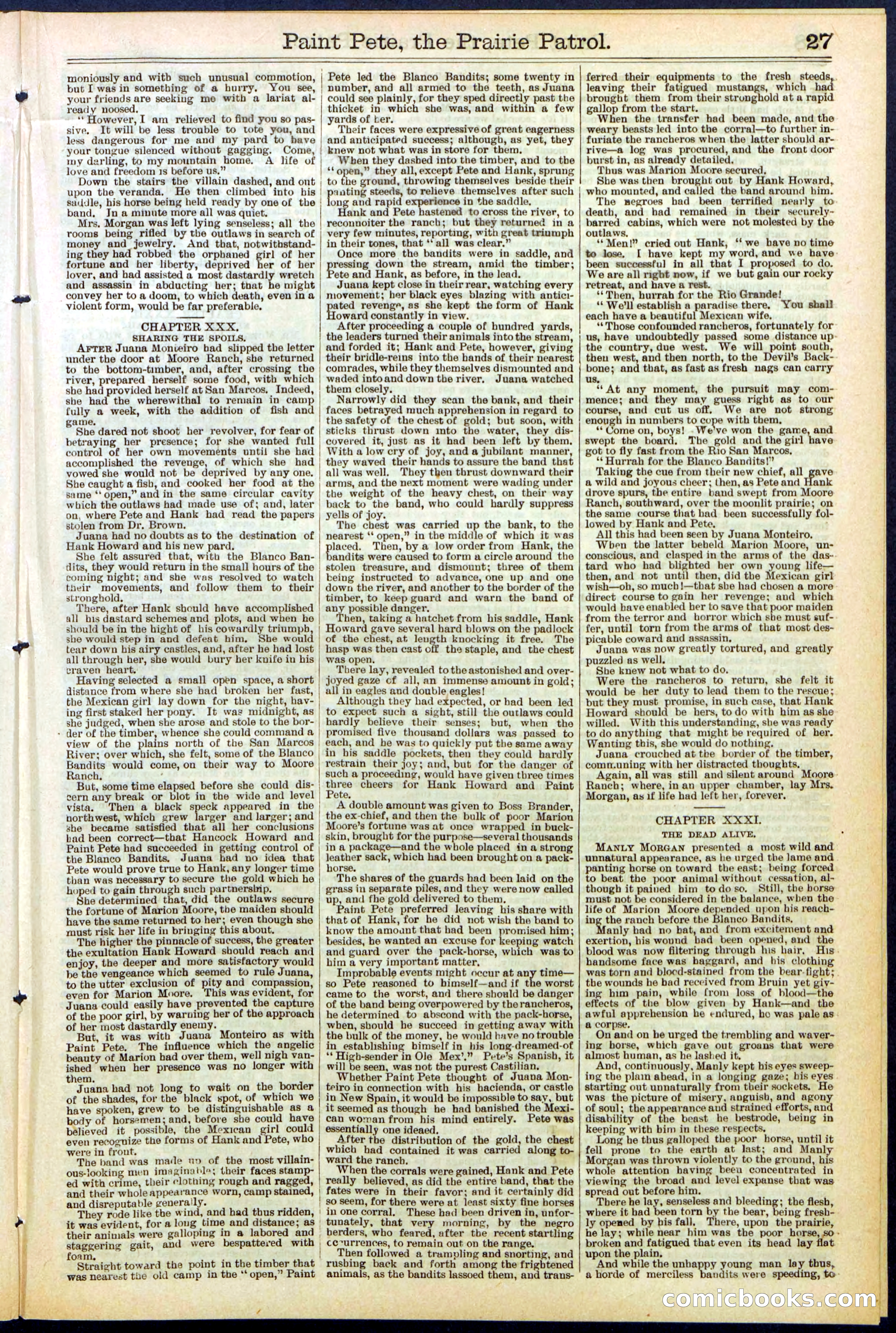 Beadle's New York Dime Library, No. 511 — page 27 of 32