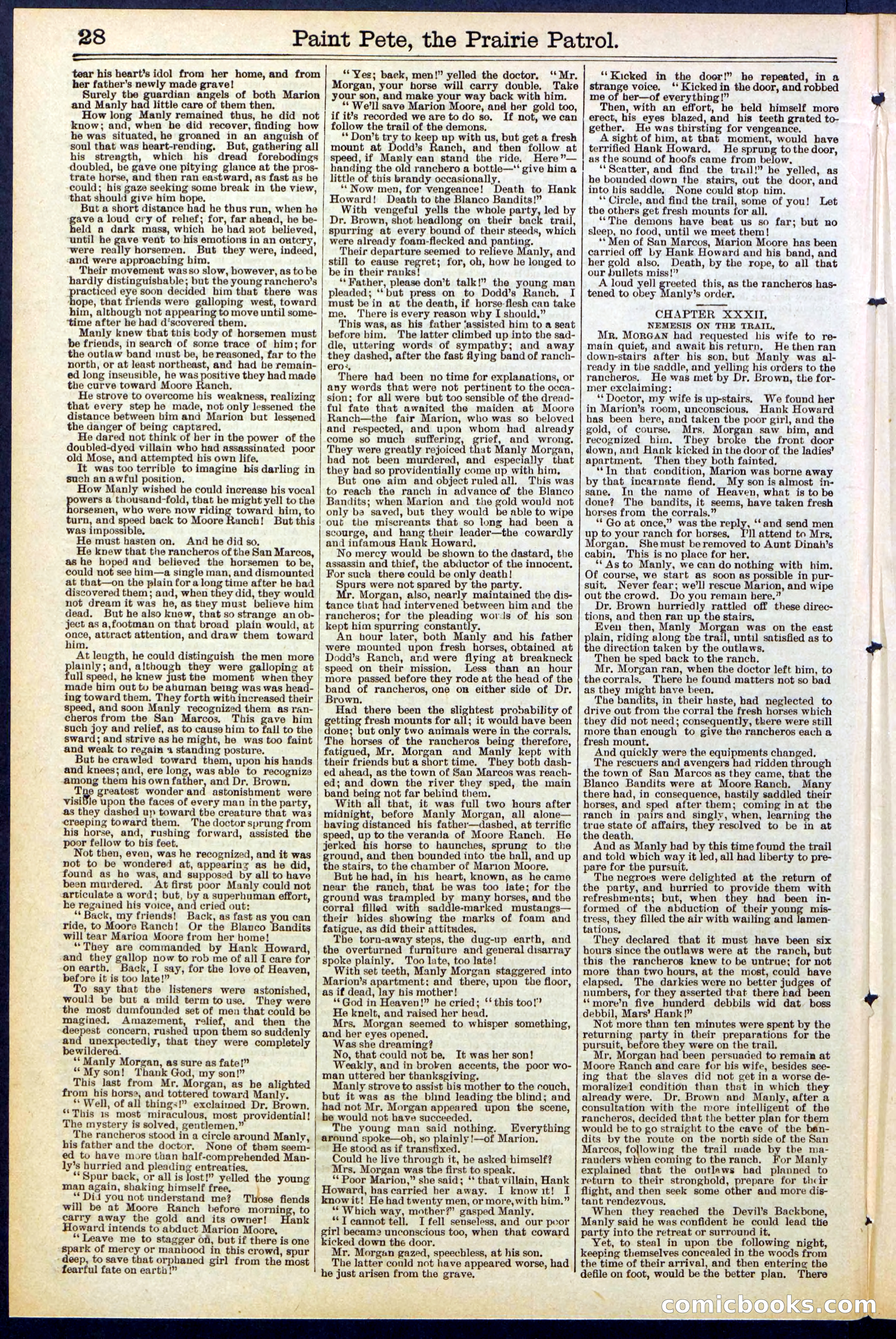 Beadle's New York Dime Library, No. 511 — page 28 of 32