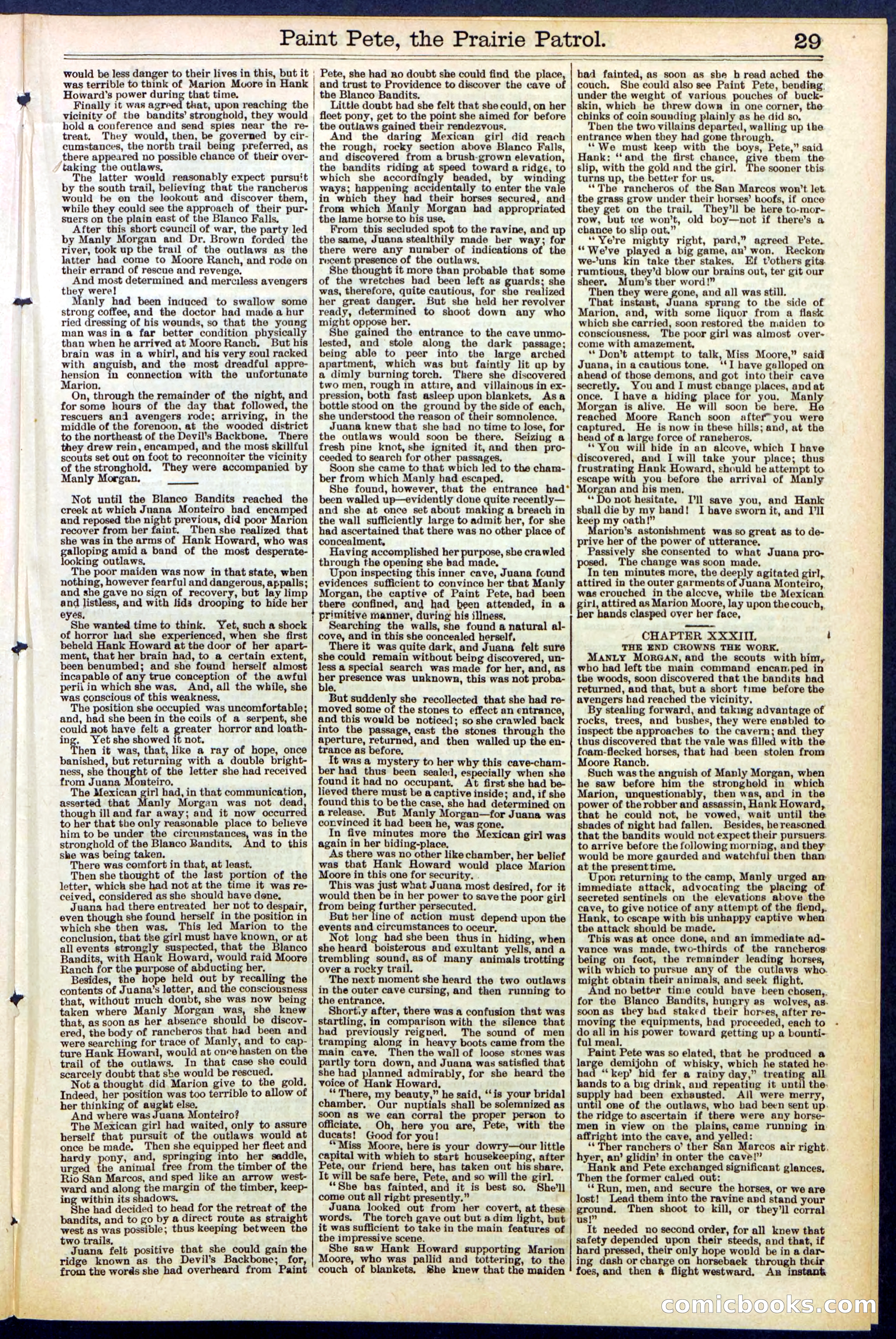 Beadle's New York Dime Library, No. 511 — page 29 of 32