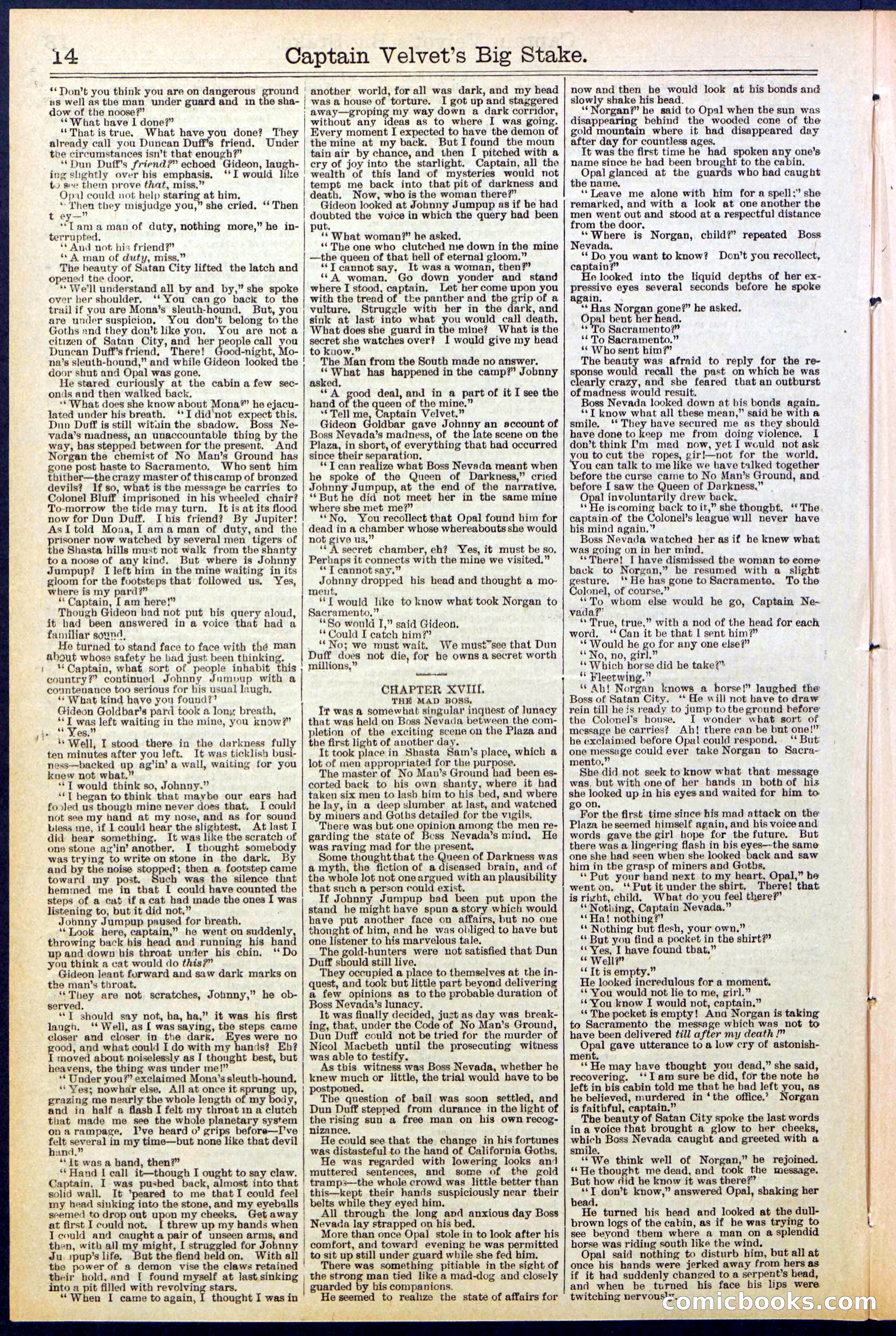 Beadle's New York Dime Library, No. 512 — page 14 of 32