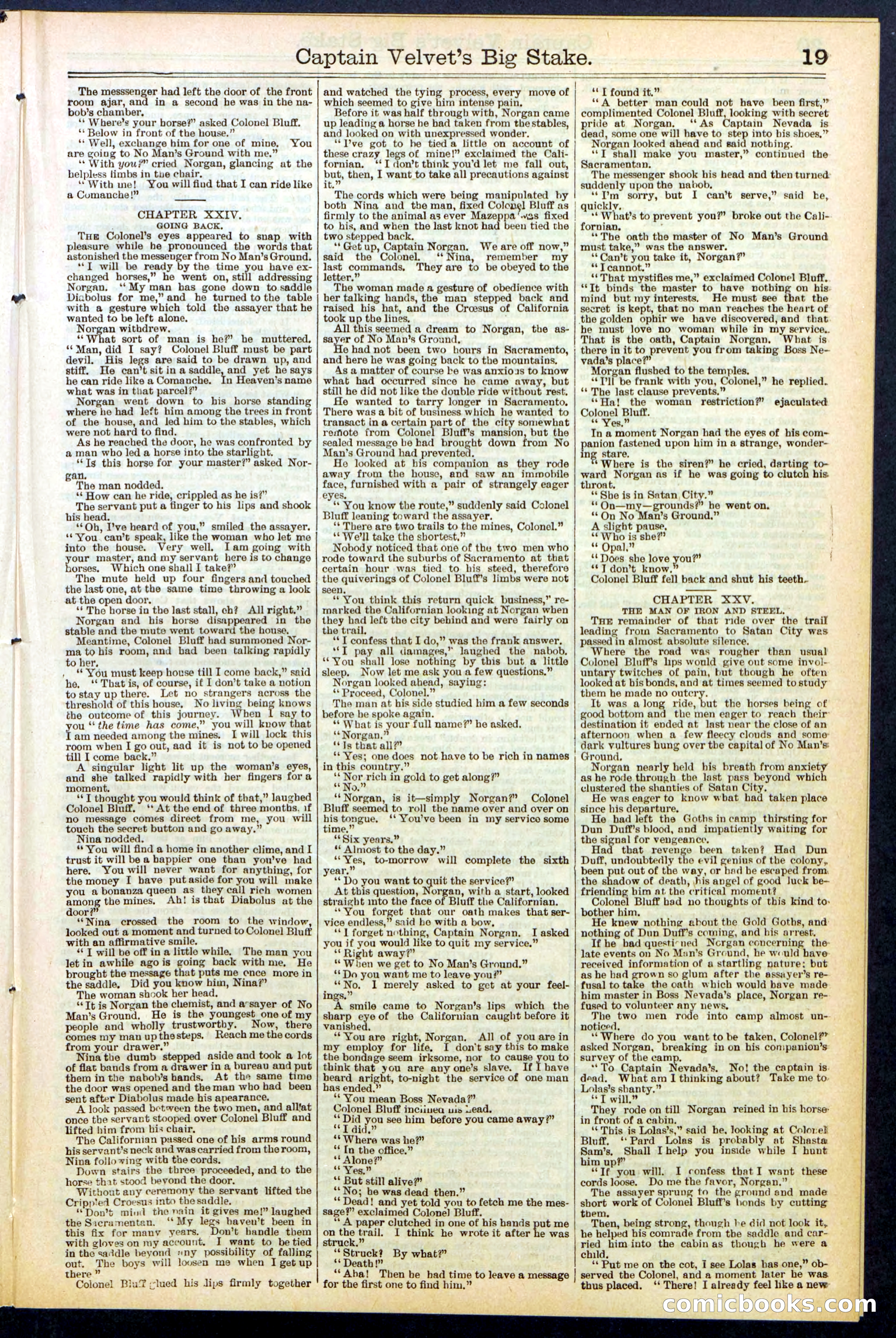 Beadle's New York Dime Library, No. 512 — page 19 of 32