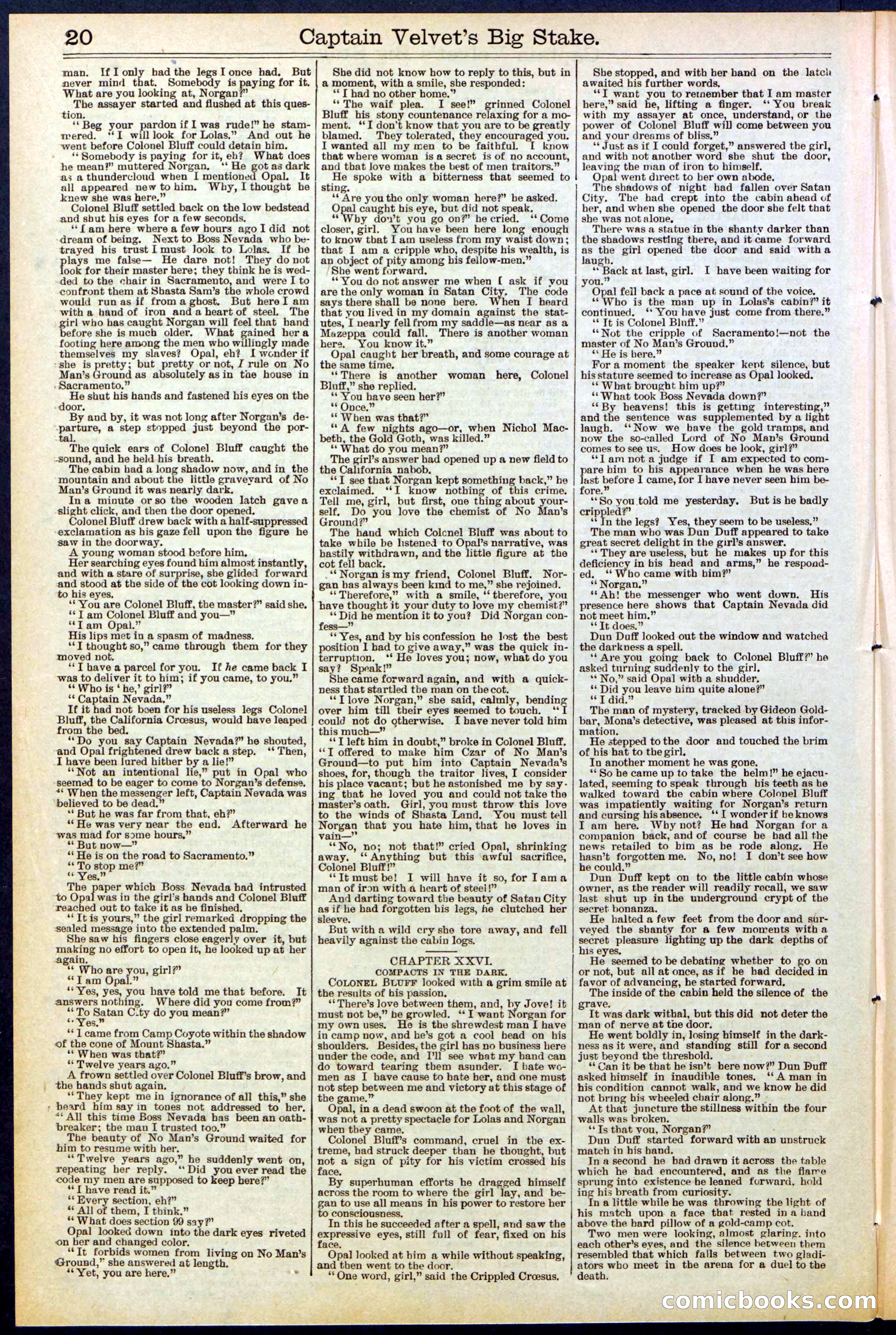 Beadle's New York Dime Library, No. 512 — page 20 of 32