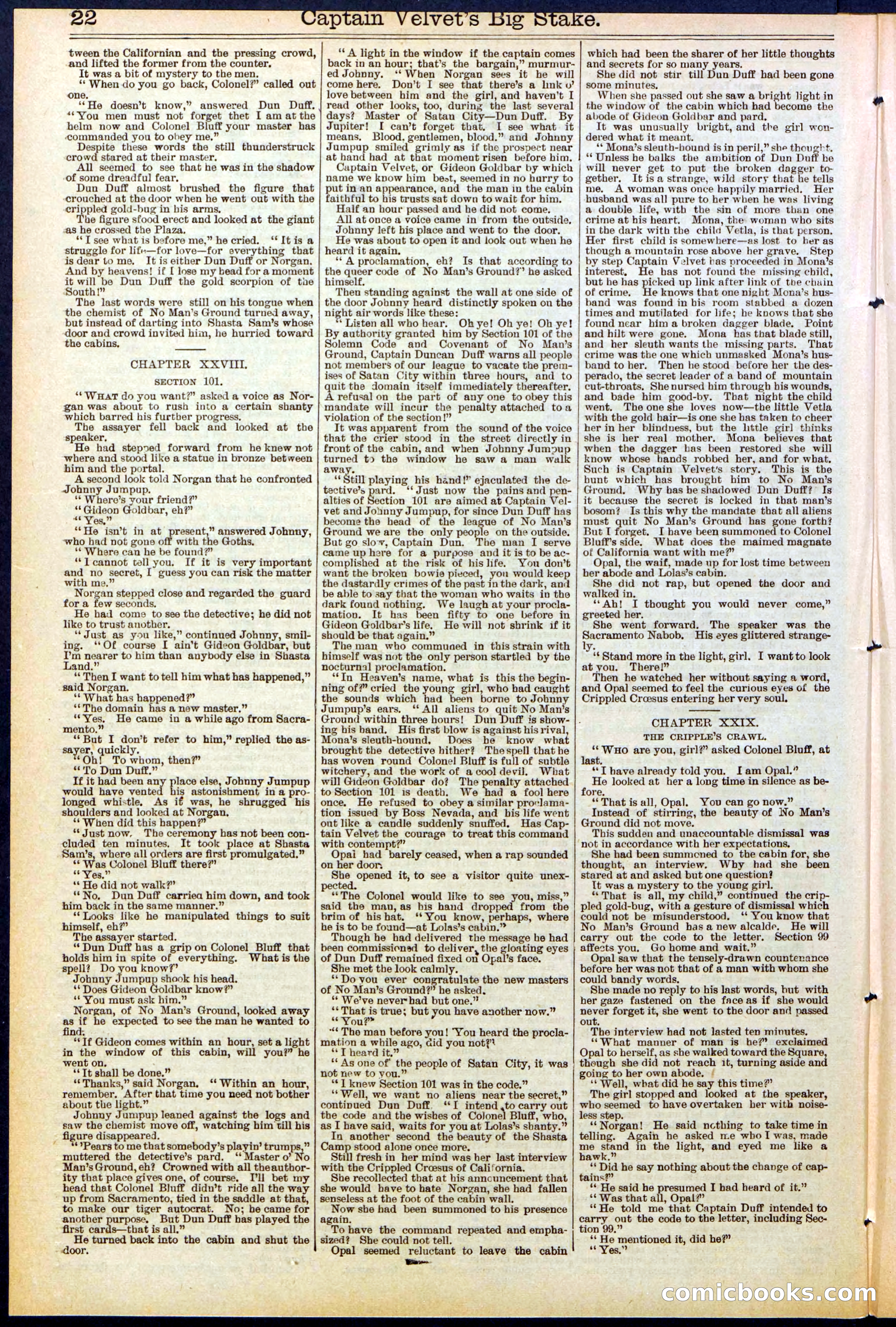 Beadle's New York Dime Library, No. 512 — page 22 of 32