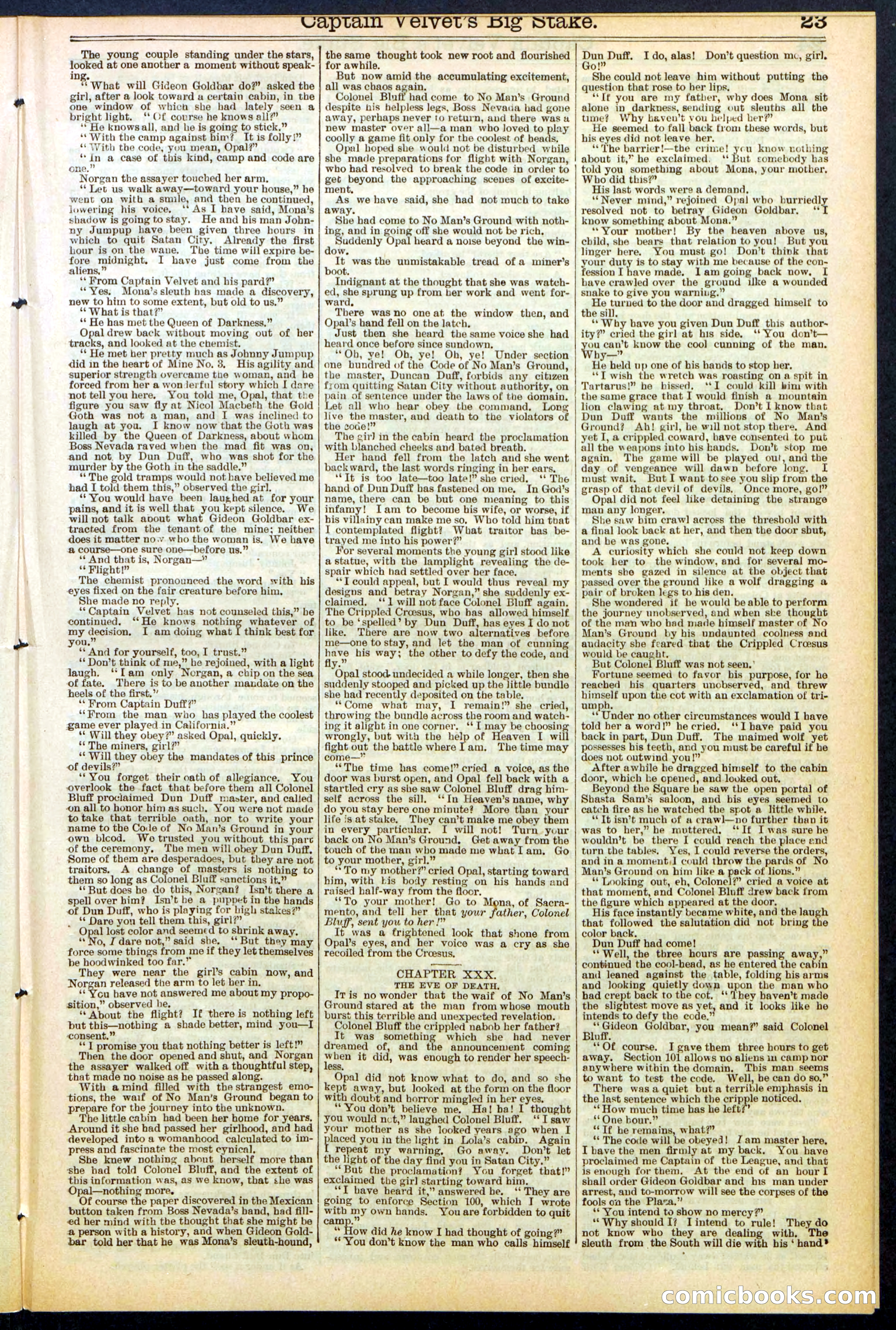 Beadle's New York Dime Library, No. 512 — page 23 of 32